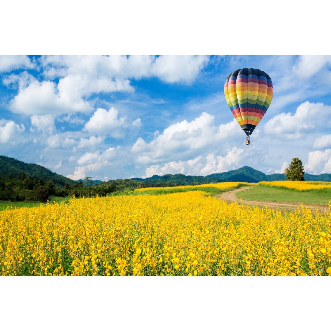 Tablou canvas Natura63, 75 x 50 cm