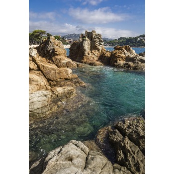 Tablou canvas Natura142, 30 x 45 cm Tablou canvas Natura142, 30 x 45 cm