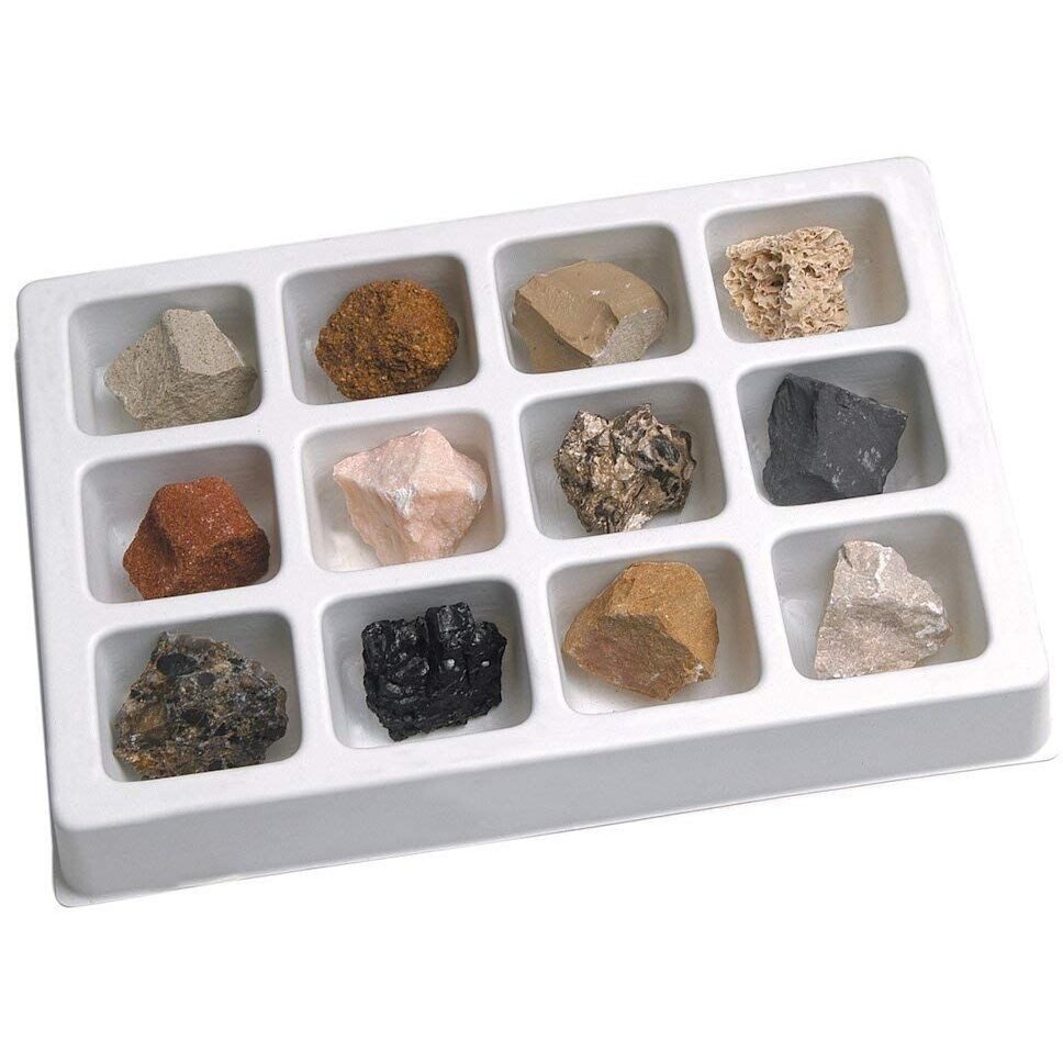 Kit paleontologie Educational Insights roci sedimentare