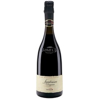 Vin Spumant Donelli Lambrusco Scaglietti Reggiano, D.O.P. 0.75l