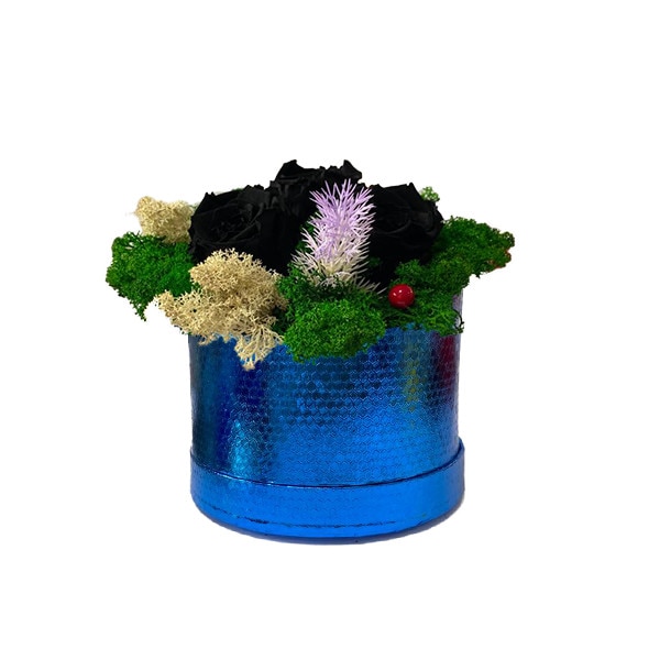 Aranjament Floral cu 3 trandafiri negri criogenati, pe pat de licheni naturali stabilizati