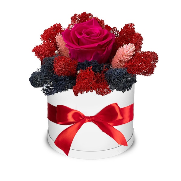 Trandafir criogenat fucsia, decorat in cutie alba, cu licheni naturali stabilizati