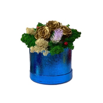 Aranjament Floral cu 3 trandafiri aurii criogenati, pe pat de licheni naturali stabilizati Aranjament Floral cu 3 trandafiri aurii criogenati, pe pat de licheni naturali stabilizati