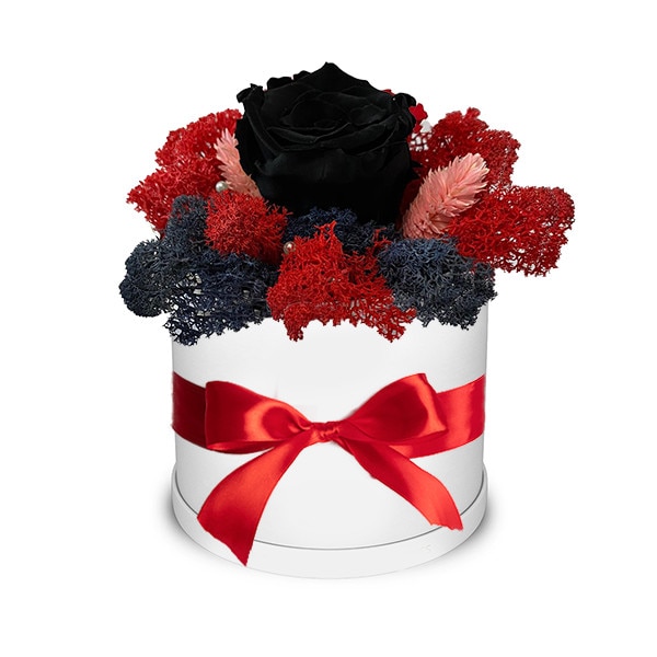 Trandafir criogenat negru, decorat in cutie alba, cu licheni naturali stabilizati
