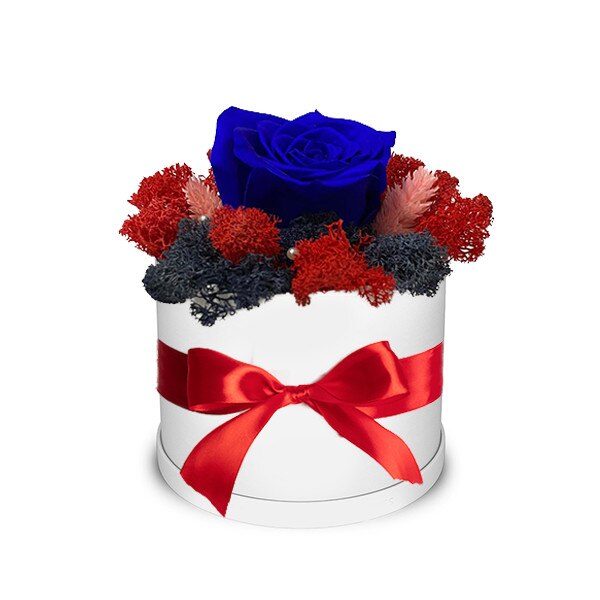 Trandafir criogenat albastru, decorat in cutie alba, cu licheni naturali stabilizati