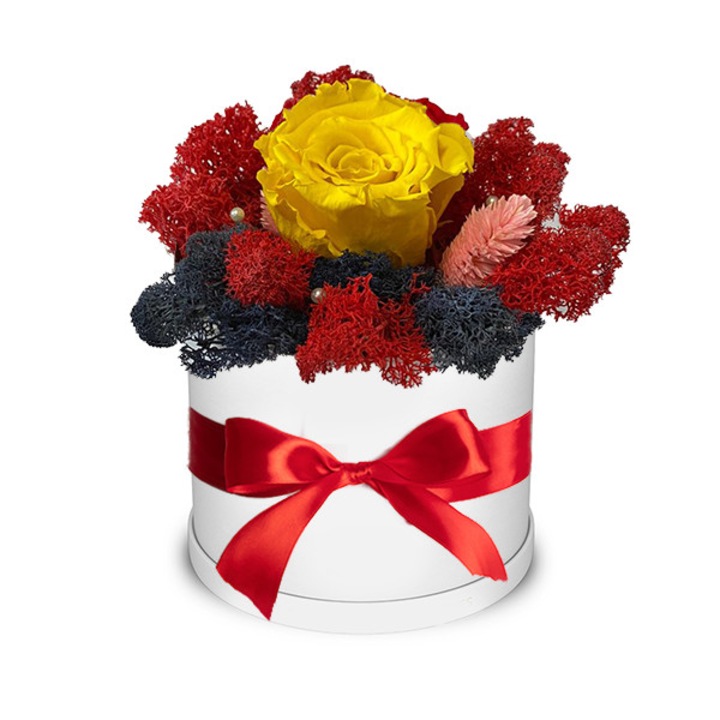 Trandafir criogenat galben, decorat in cutie alba, cu licheni naturali stabilizati