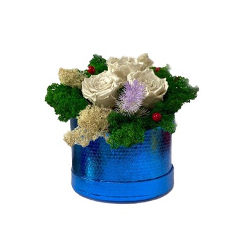 Aranjament Floral cu 3 trandafiri albi criogenati, pe pat de licheni naturali stabilizati Aranjament Floral cu 3 trandafiri albi criogenati, pe pat de licheni naturali stabilizati