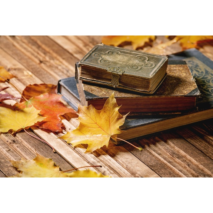 Blueback MAT "Kompozíció 45" fotótapéta, 250 x 200 cm