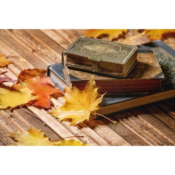 Autocolant Compozitie45, 220 x 135 cm Autocolant Compozitie45, 220 x 135 cm