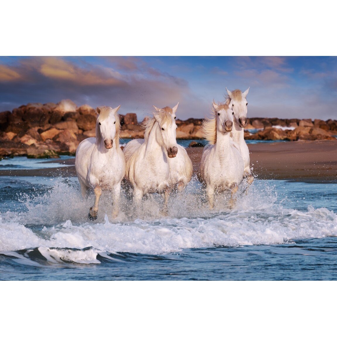 Tablou canvas Animal27, 75 x 50 cm