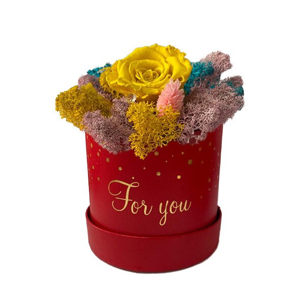 Trandafir criogenat galben, in cutie rosie, pe pat multicolor de licheni stabilizati