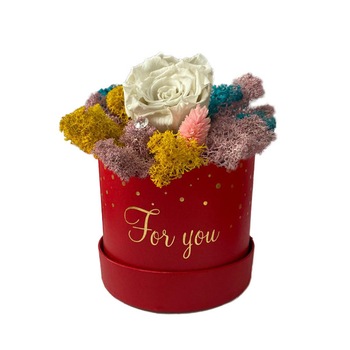 Trandafir criogenat alb, in cutie rosie, pe pat multicolor de licheni stabilizati Trandafir criogenat alb, in cutie rosie, pe pat multicolor de licheni stabilizati