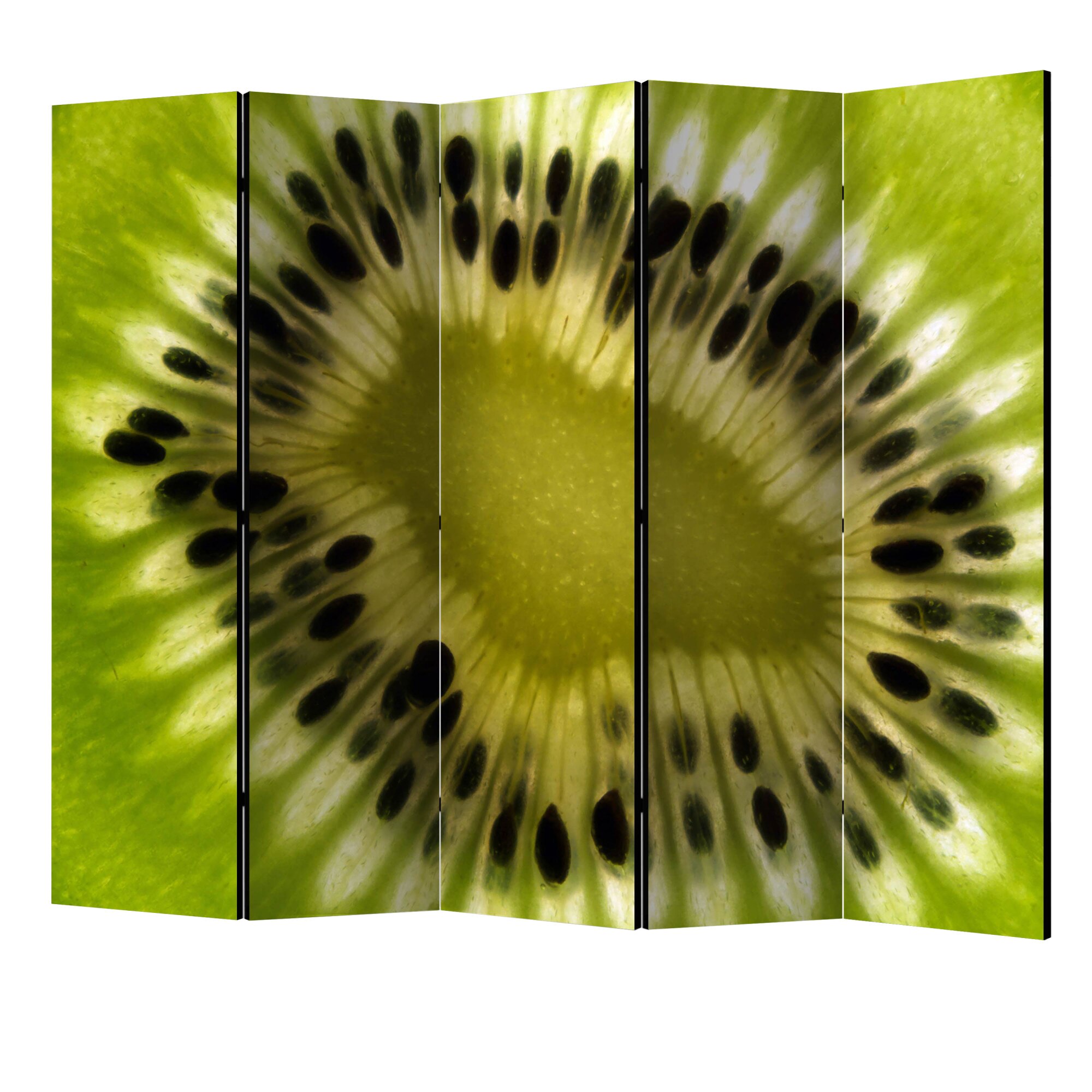 Paravan din 5 parti - Fructe kiwi II - 225 x 172 cm