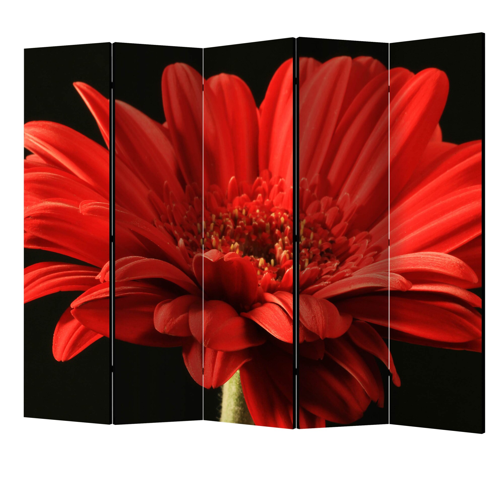 Paravan din 5 parti - Floare rosie de gerbera II - 225 x 172 cm