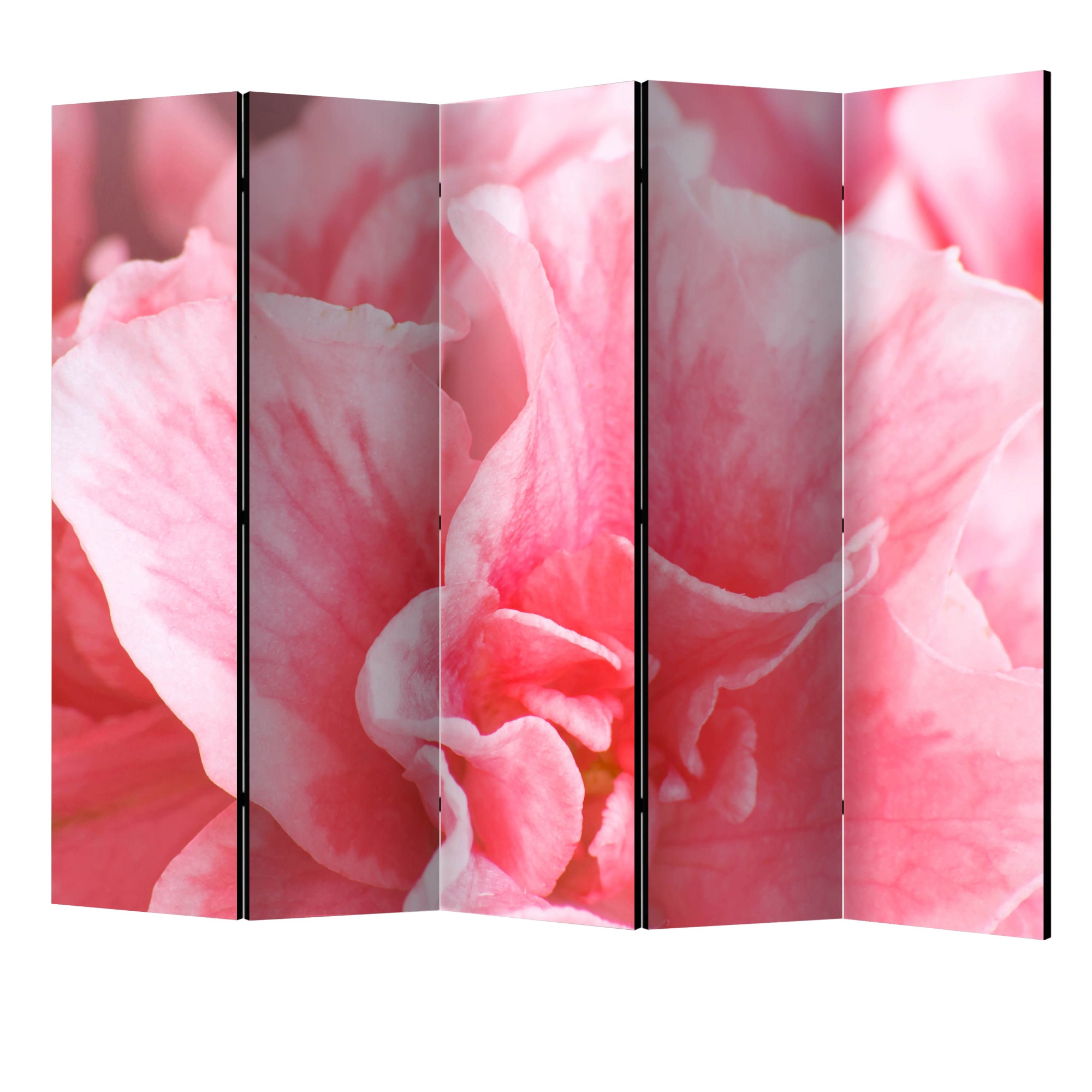 Paravan din 5 parti - Flori de azalee roz II - 225 x 172 cm