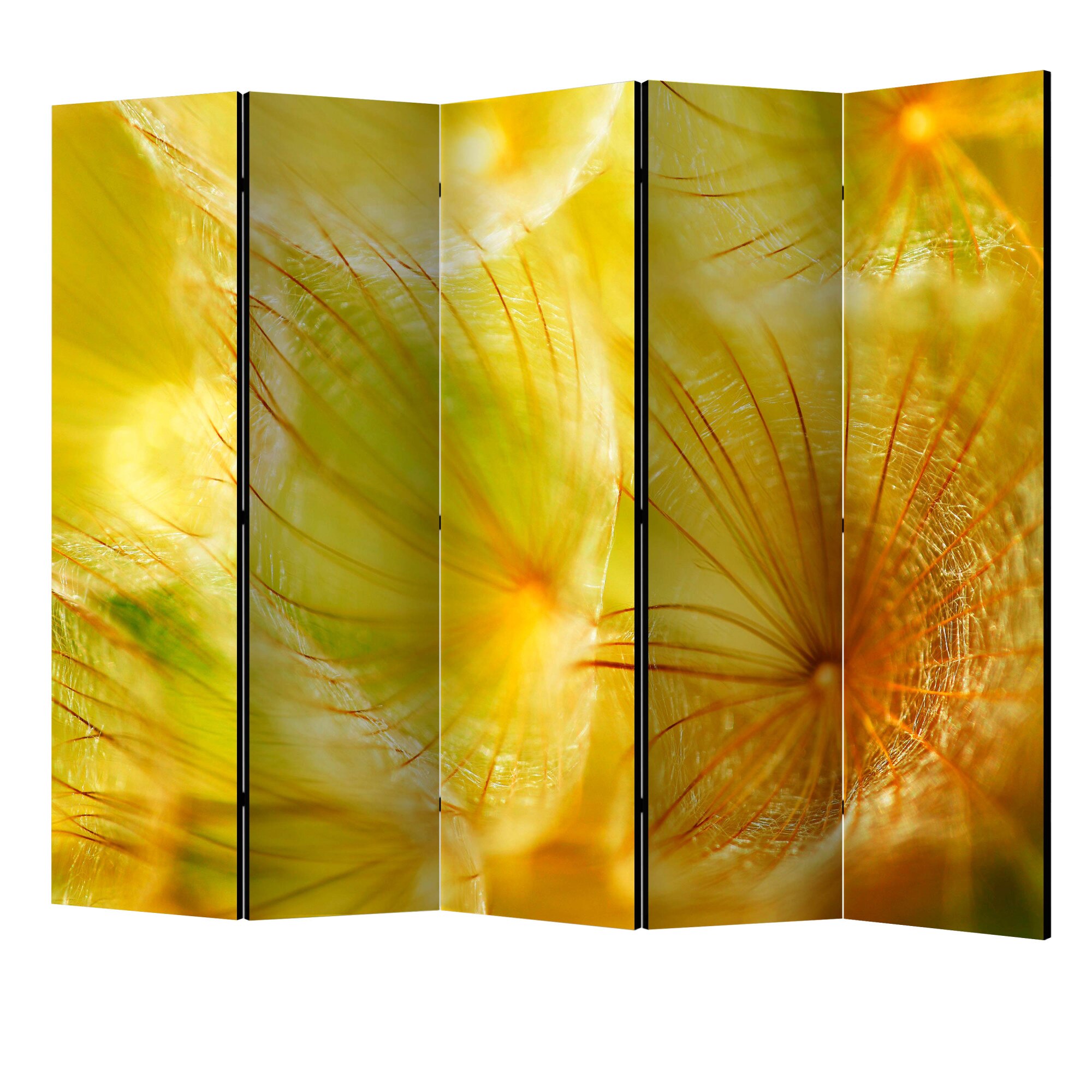 Paravan din 5 parti - Floare moale de papadie II - 225 x 172 cm