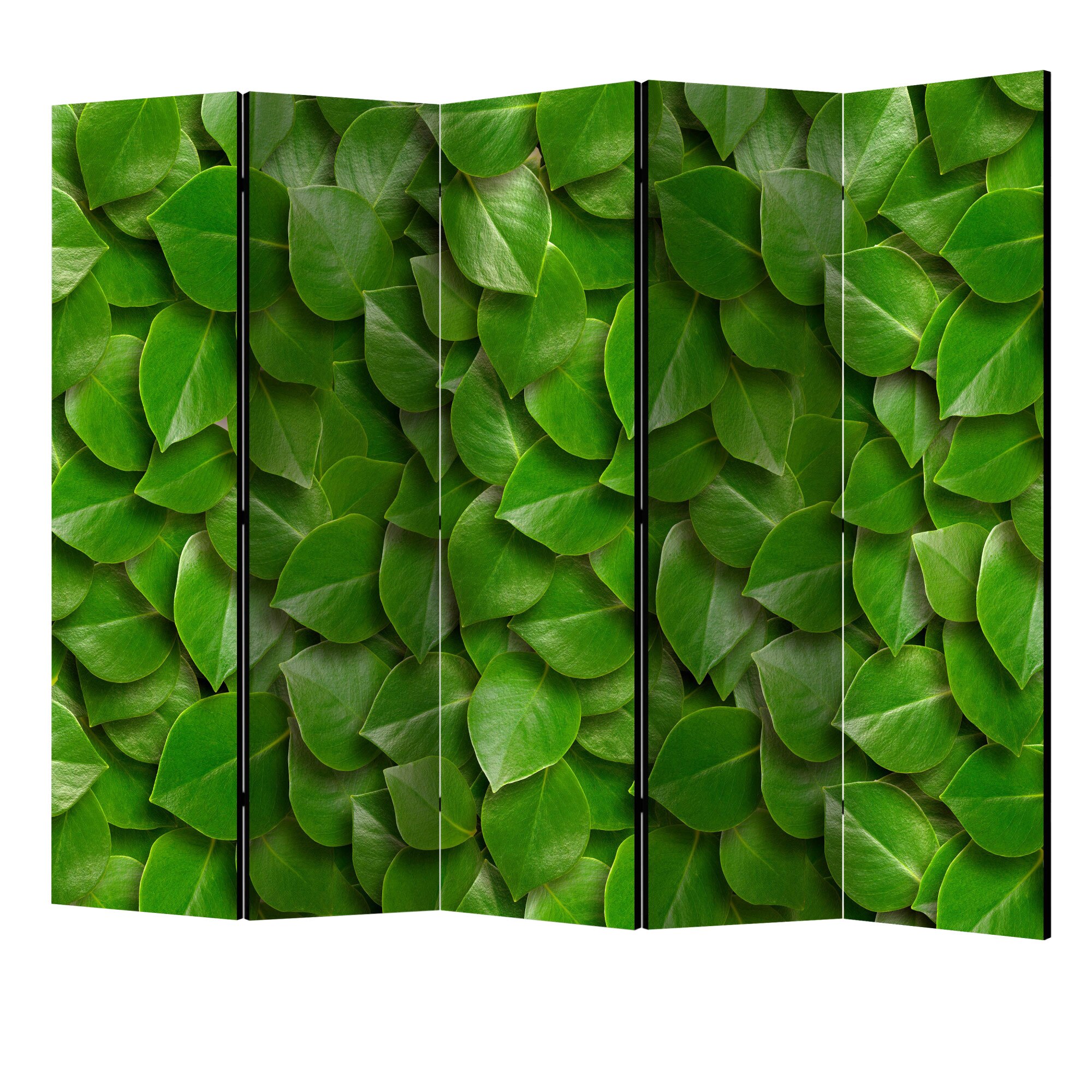 Paravan din 5 parti - Gradina secreta II - 225 x 172 cm