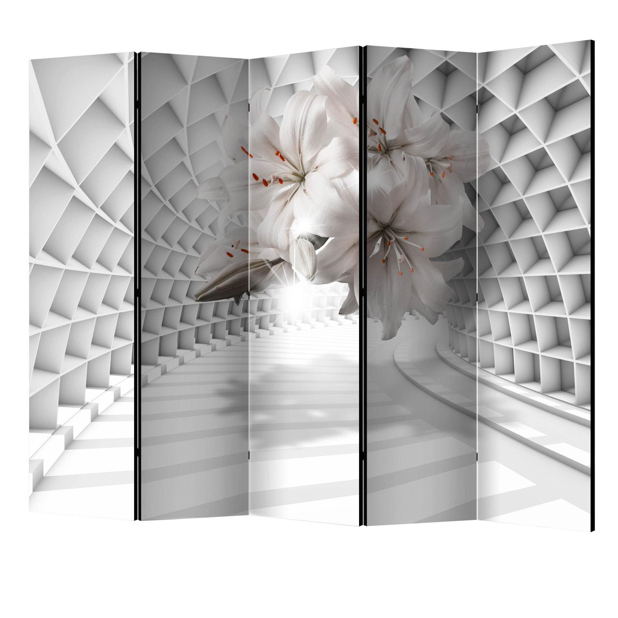 Paravan din 5 parti - Flori in tunelul II - 225 x 172 cm