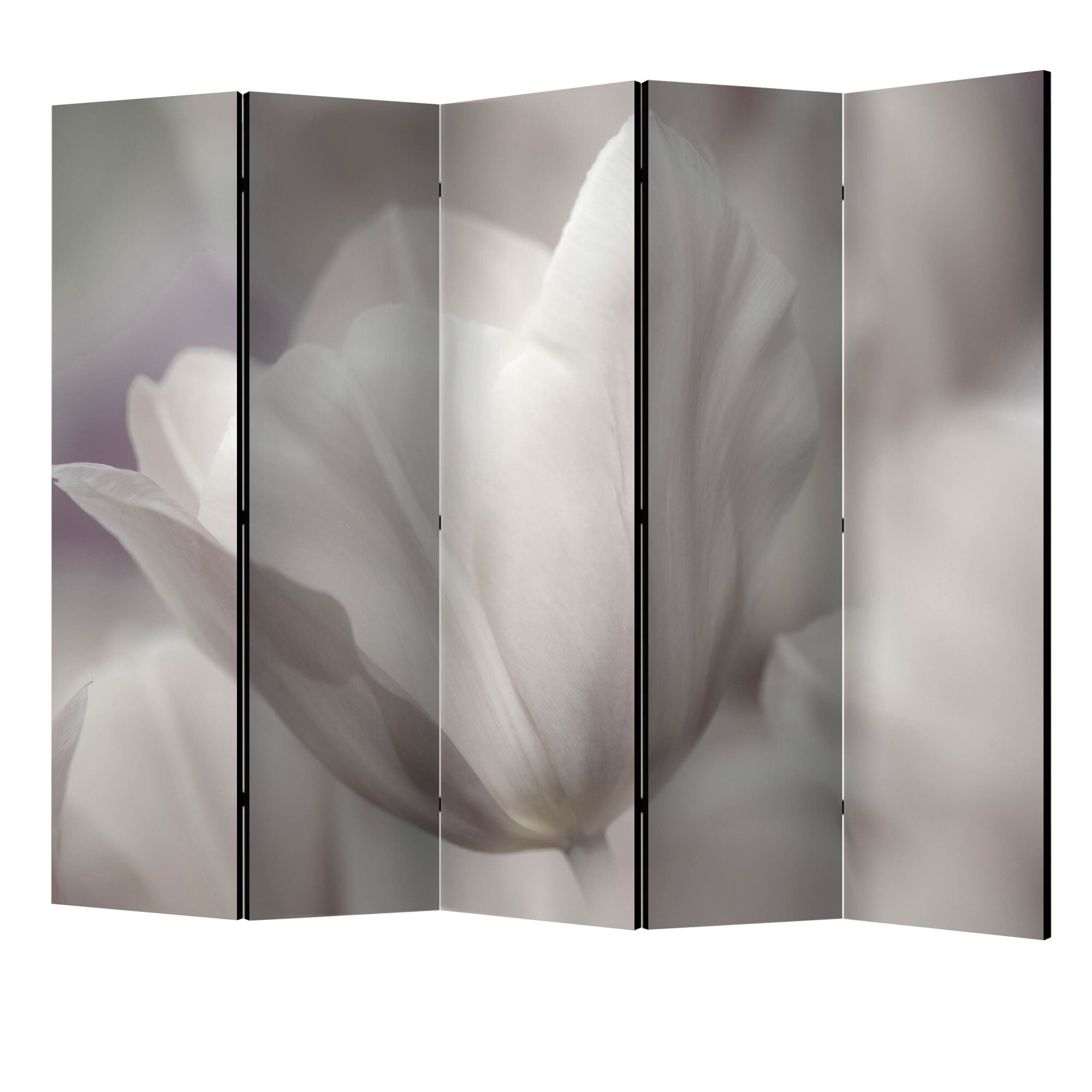 Paravan din 5 parti - Lalea fotografie alb-negru II - 225 x 172 cm