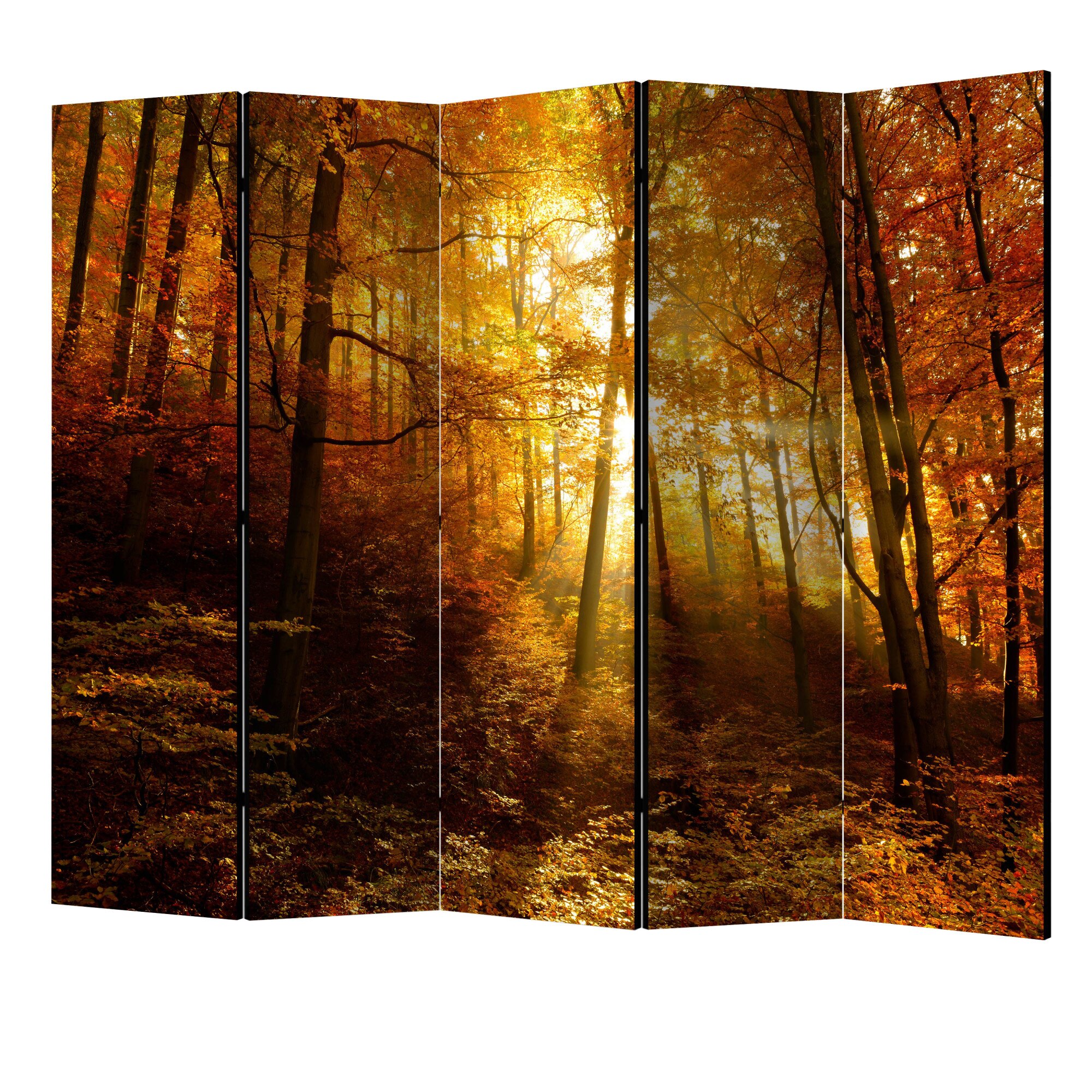 Paravan din 5 parti - Iluminarea toamnei II - 225 x 172 cm