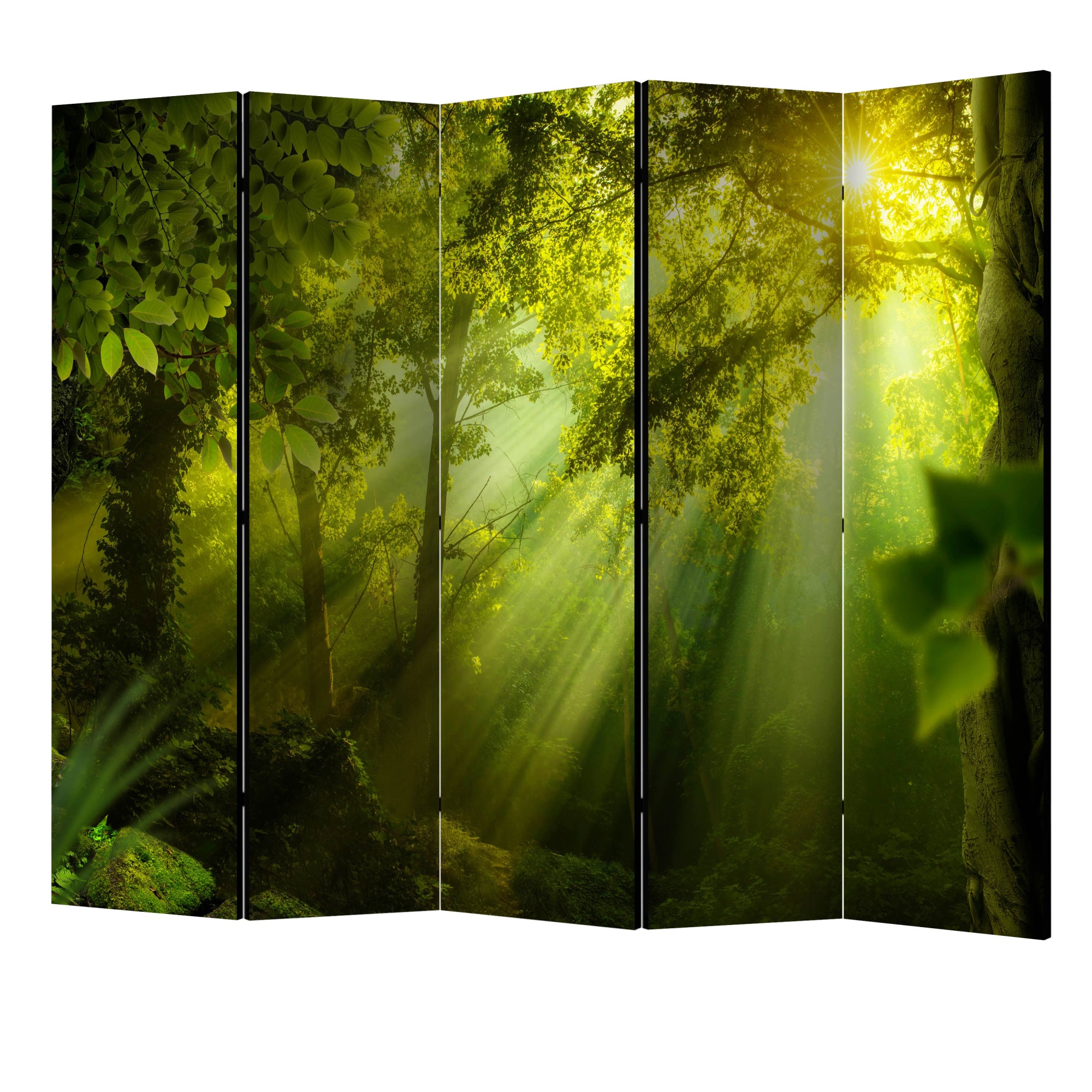 Paravan din 5 parti - Intr-o padure secreta II - 225 x 172 cm