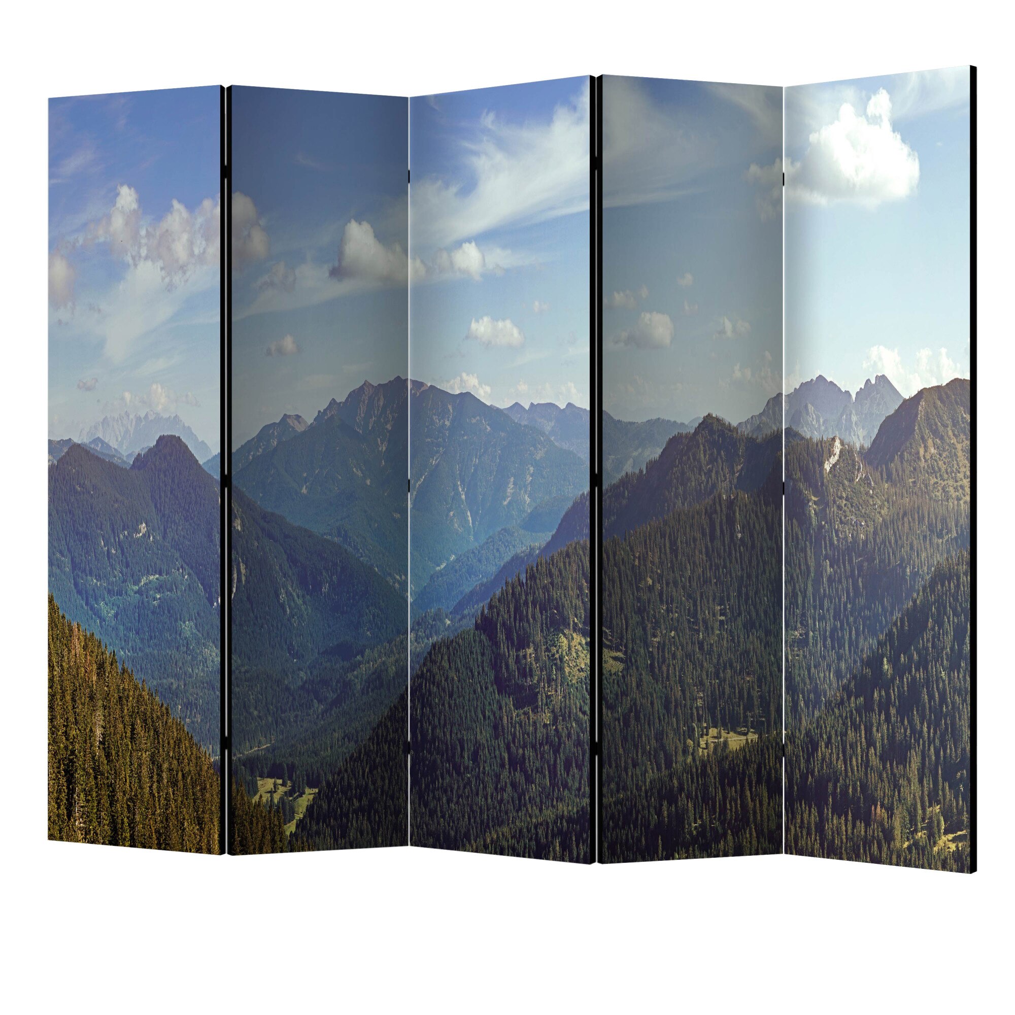 Paravan din 5 parti - Magia II a muntilor - 225 x 172 cm