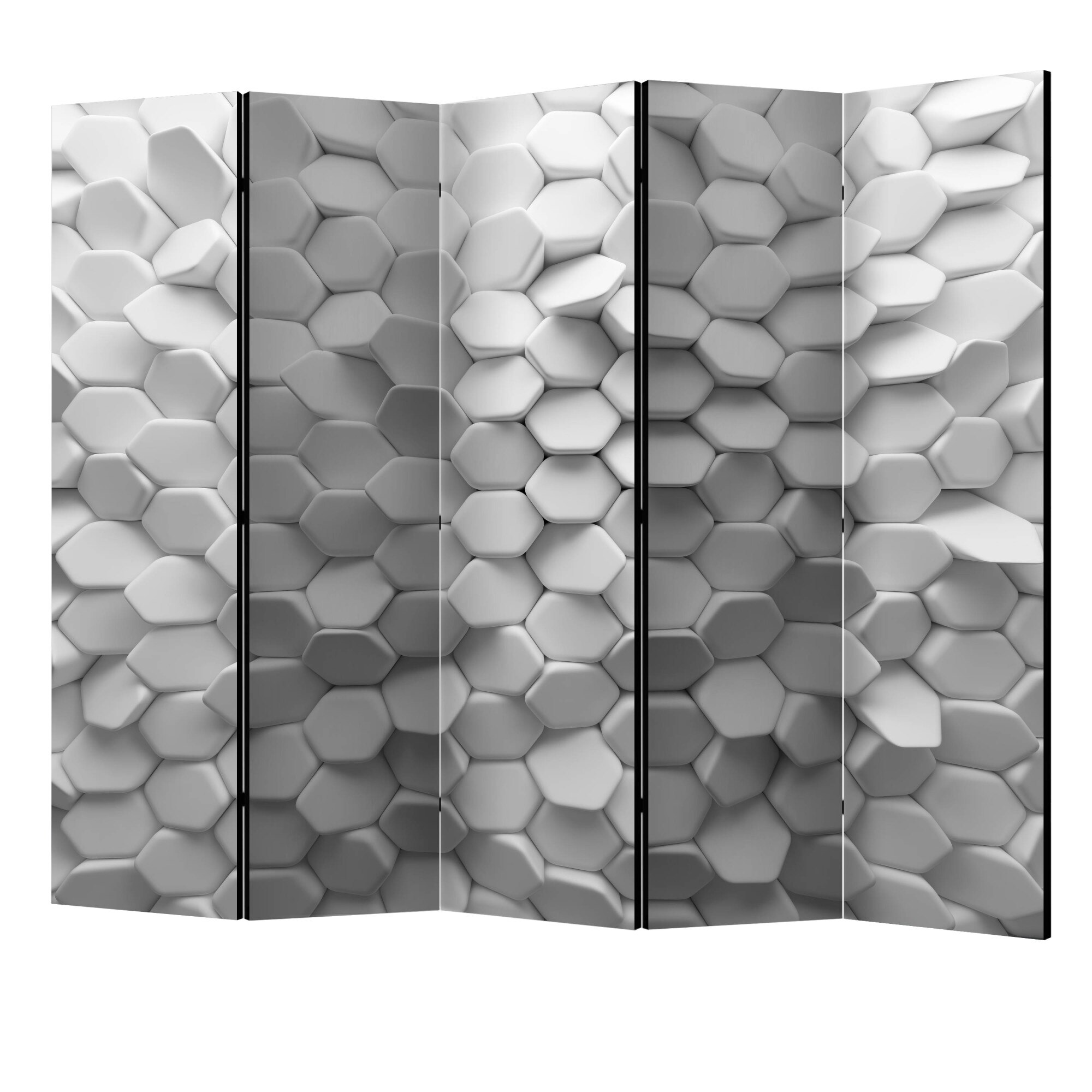 Paravan din 5 parti - Misterul alb II - 225 x 172 cm