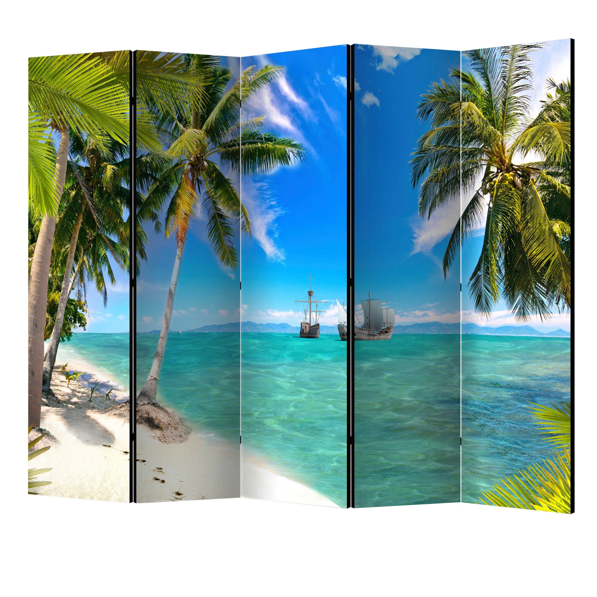 Paravan din 5 parti - Nave pierdute II - 225 x 172 cm
