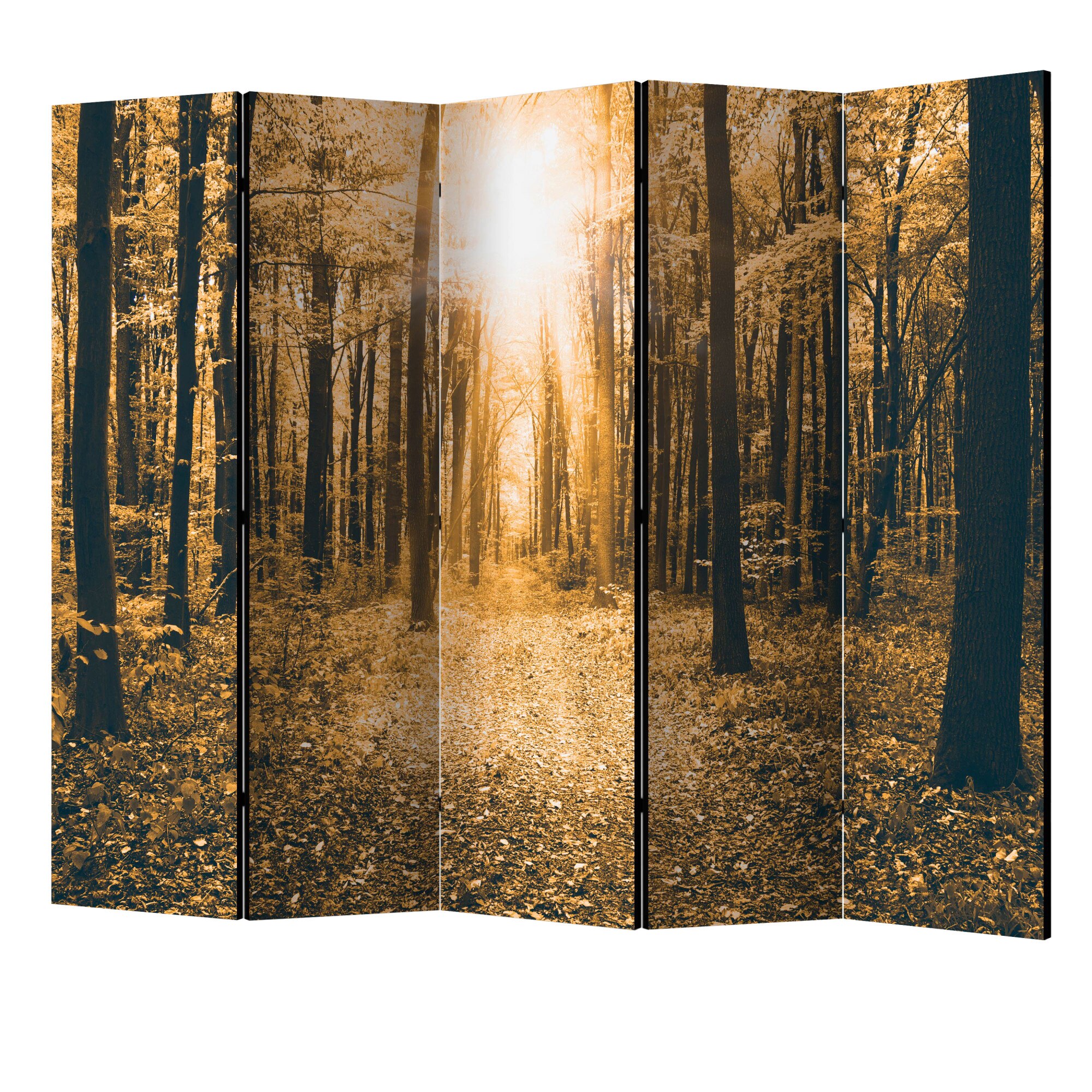 Paravan din 5 parti - Lumina magica II - 225 x 172 cm