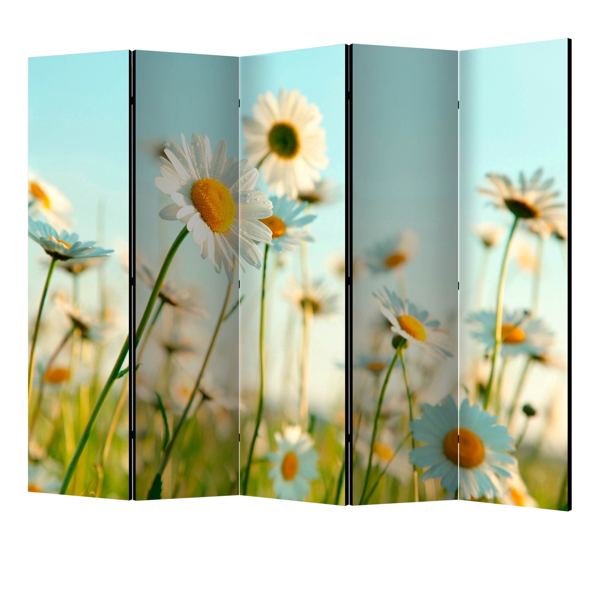 Paravan din 5 parti - Margarite lunca de primavara II - 225 x 172 cm