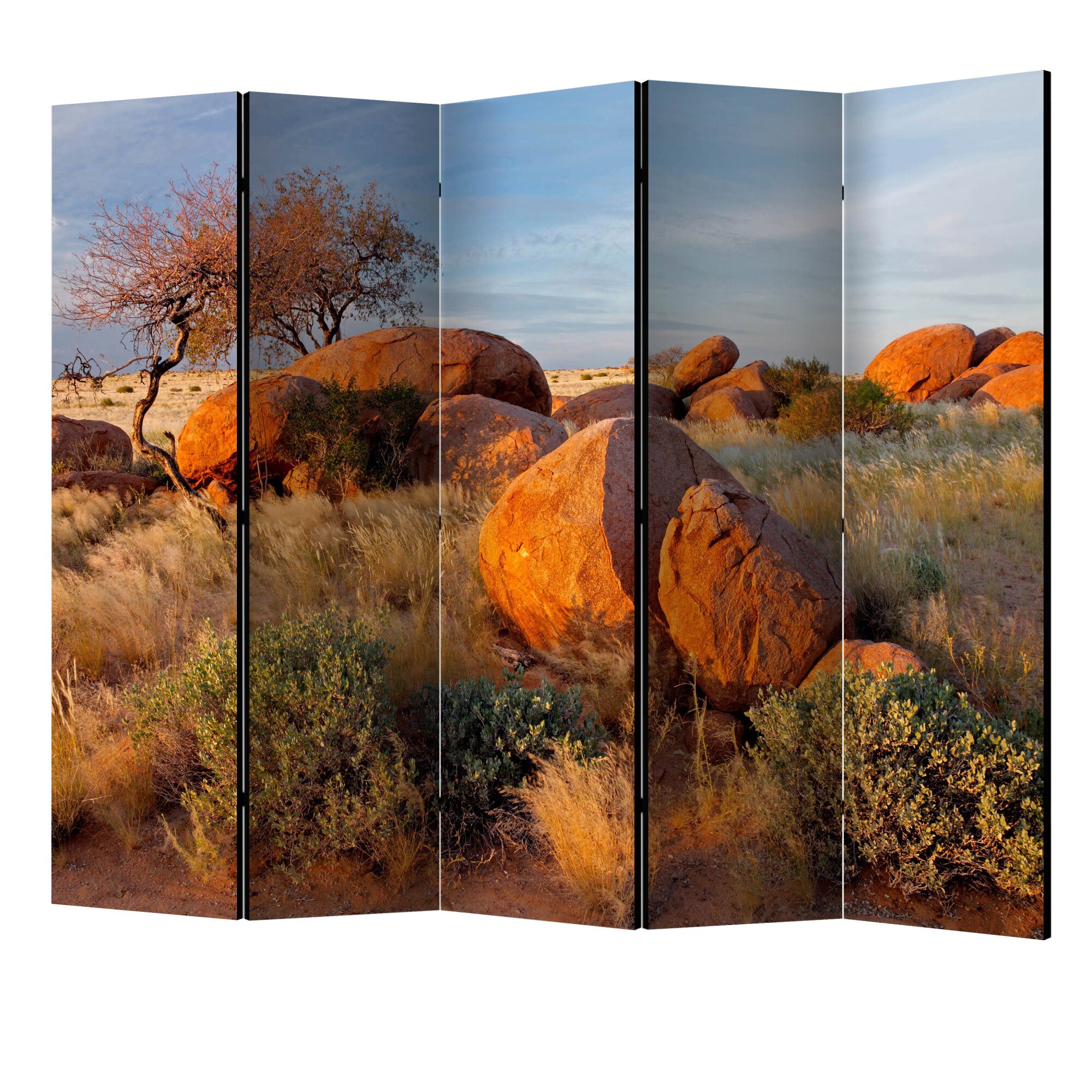 Paravan din 5 parti - Peisajul african namibia II - 225 x 172 cm