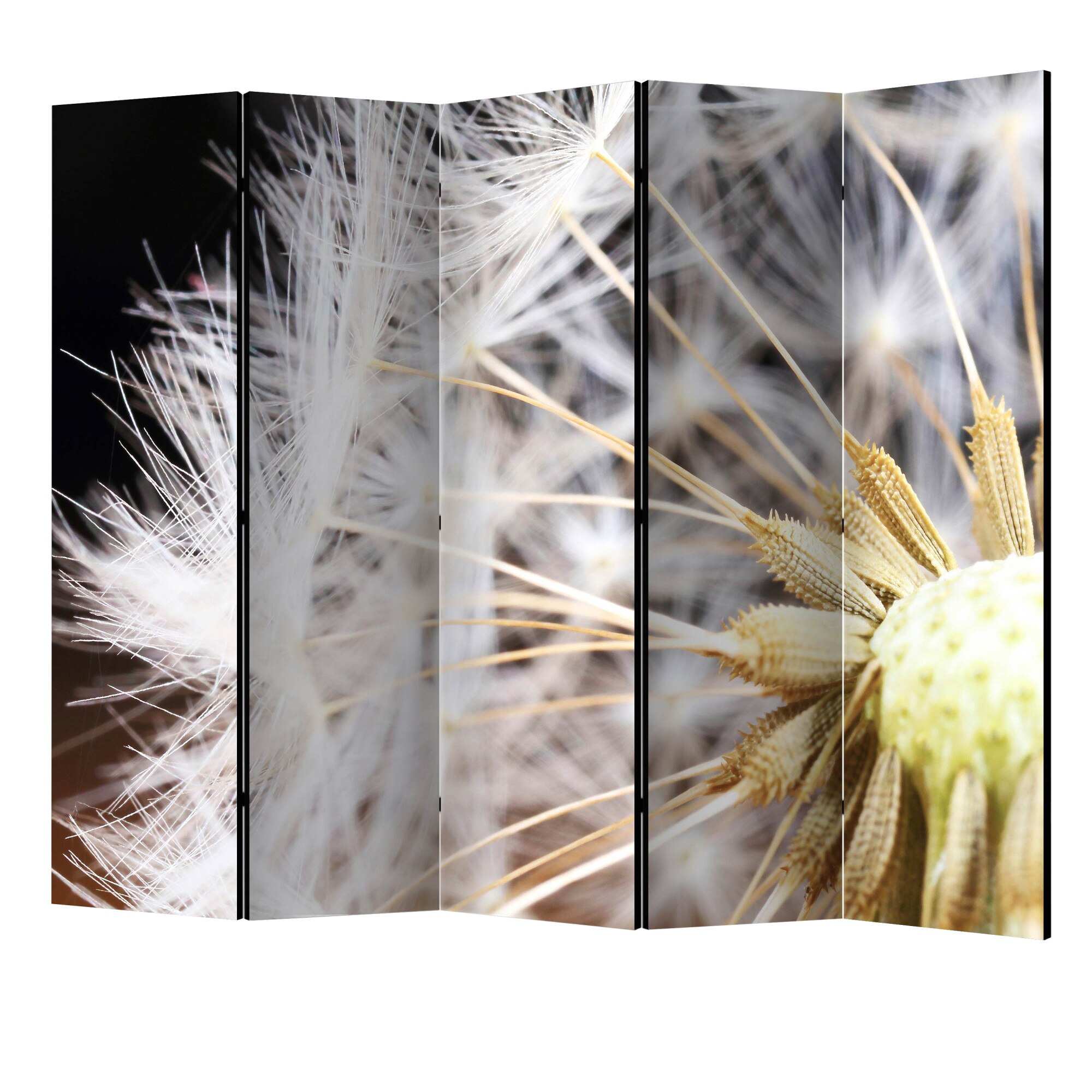 Paravan din 5 parti - Papadie pufoasa II - 225 x 172 cm