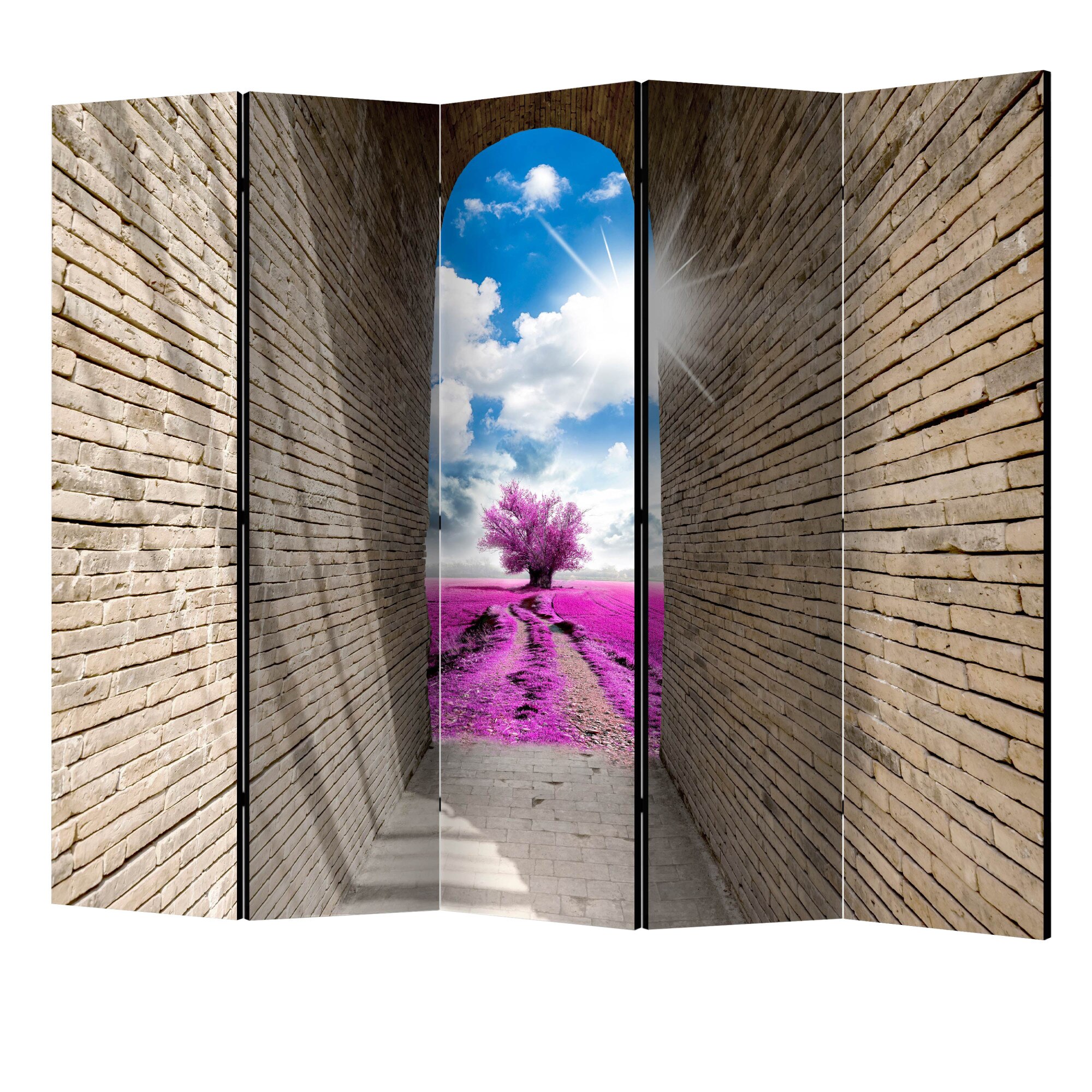 Paravan din 5 parti - Pasajul magic II - 225 x 172 cm