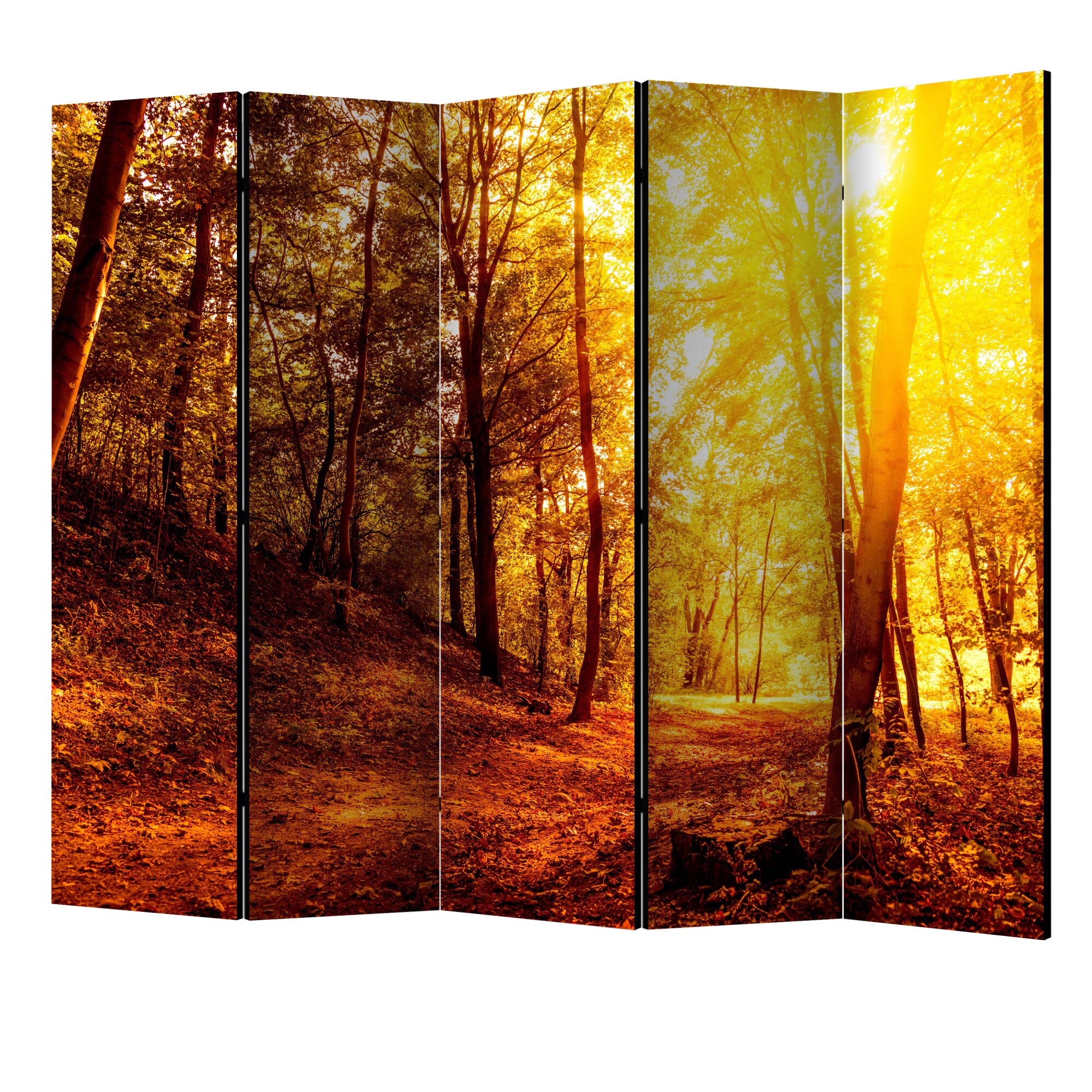 Paravan din 5 parti - Plimbare de toamna II - 225 x 172 cm