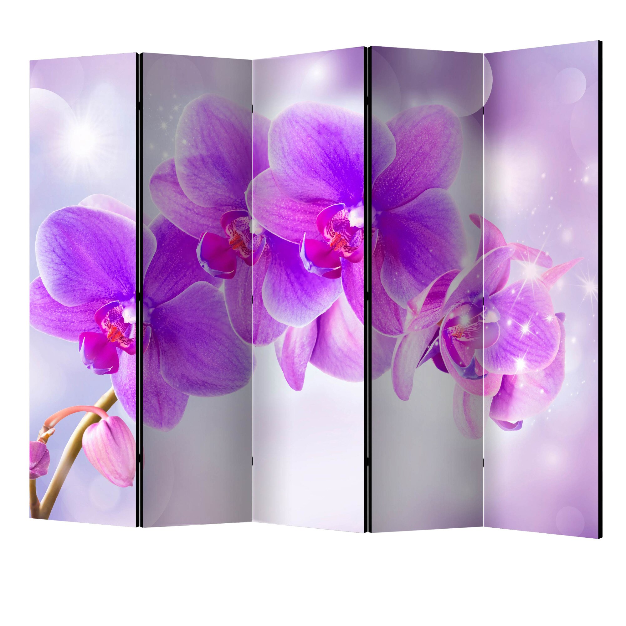 Paravan din 5 parti - Orhidee violet II - 225 x 172 cm