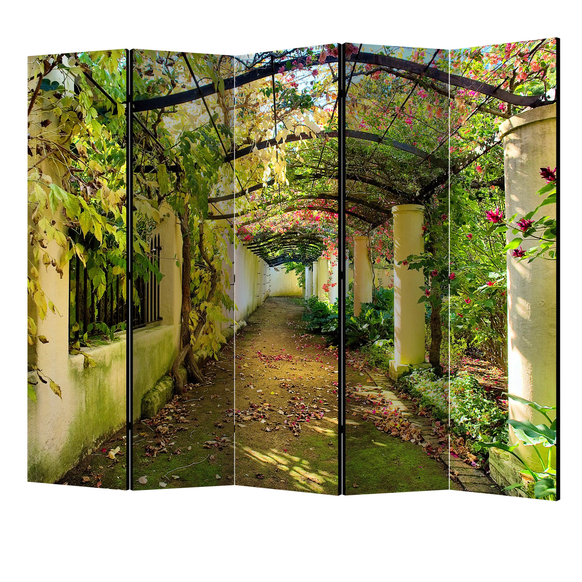 Paravan din 5 parti - Pergola II - 225 x 172 cm