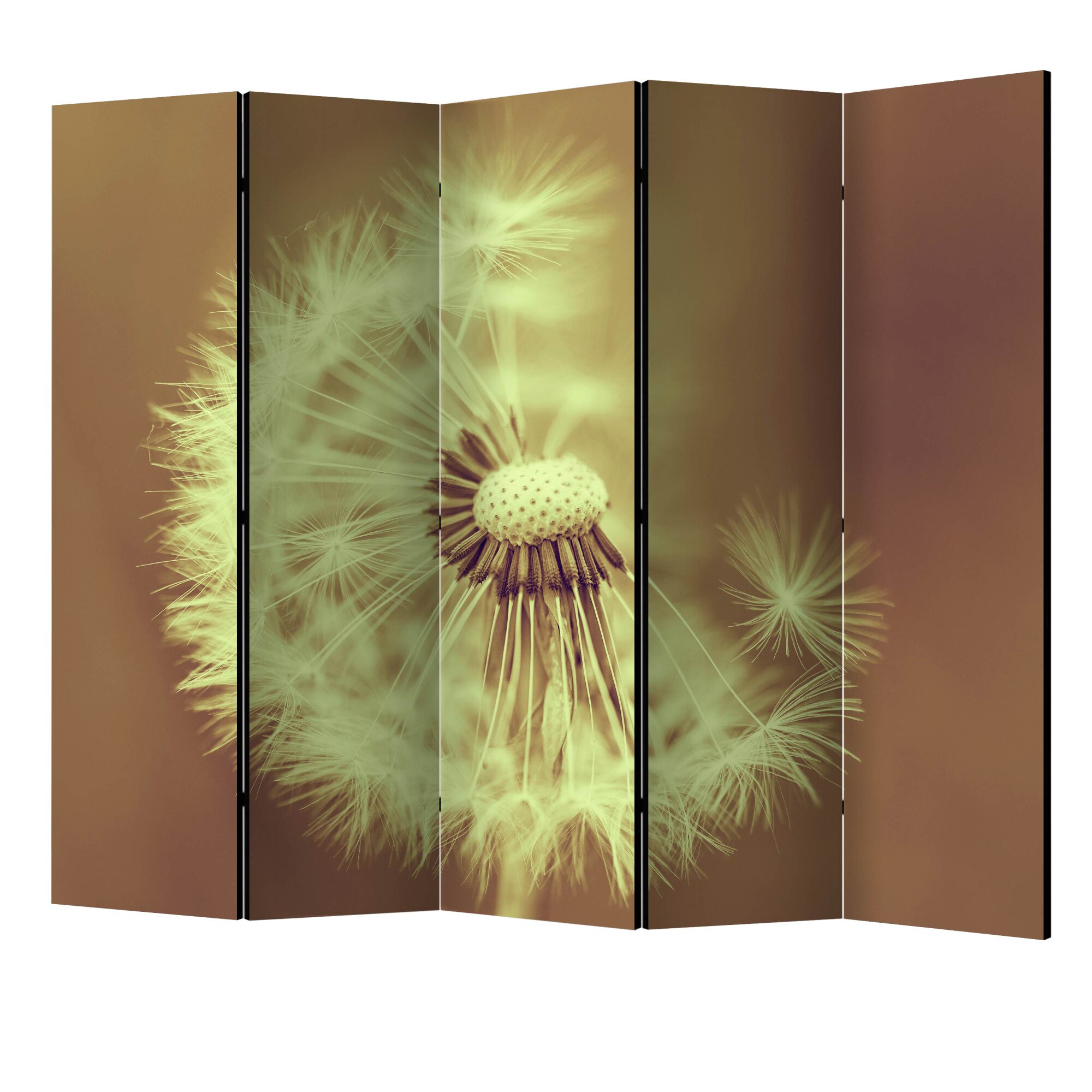 Paravan din 5 parti - Papadie sepia II - 225 x 172 cm