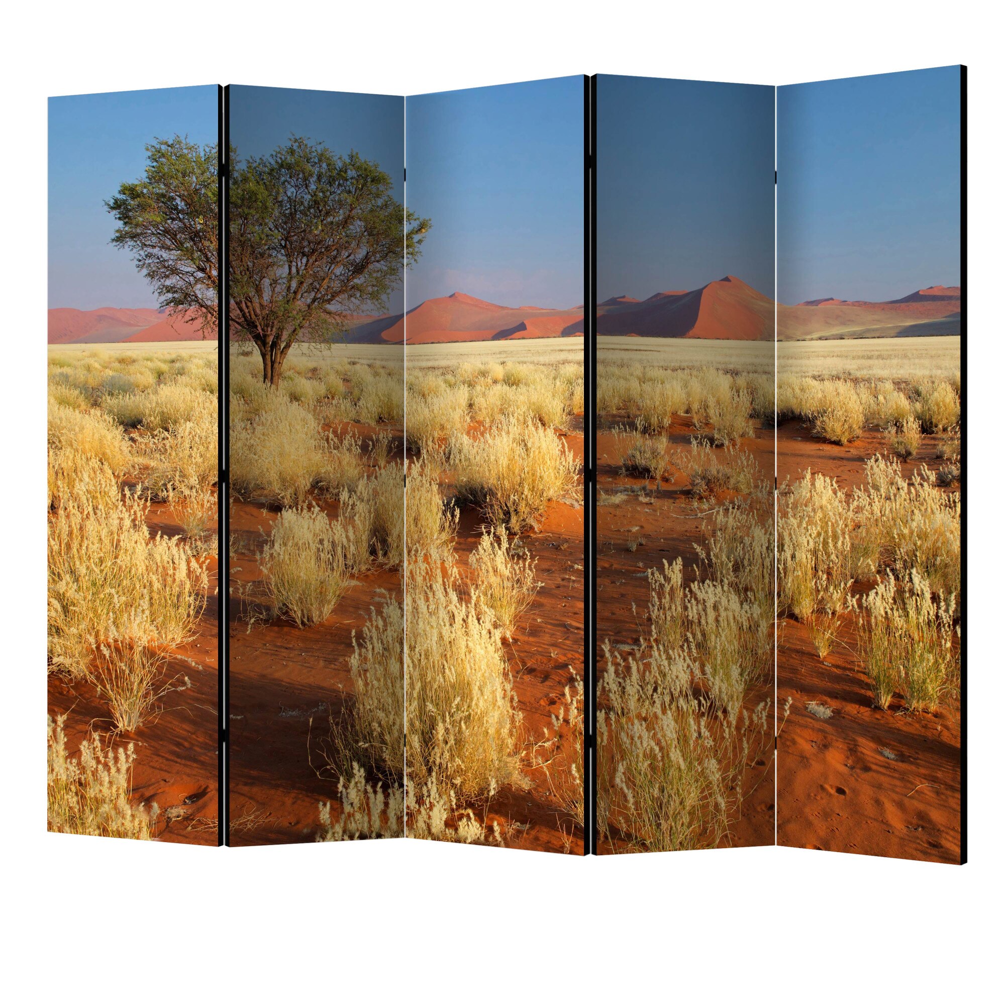 Paravan din 5 parti - Peisajul desertului namibia II - 225 x 172 cm