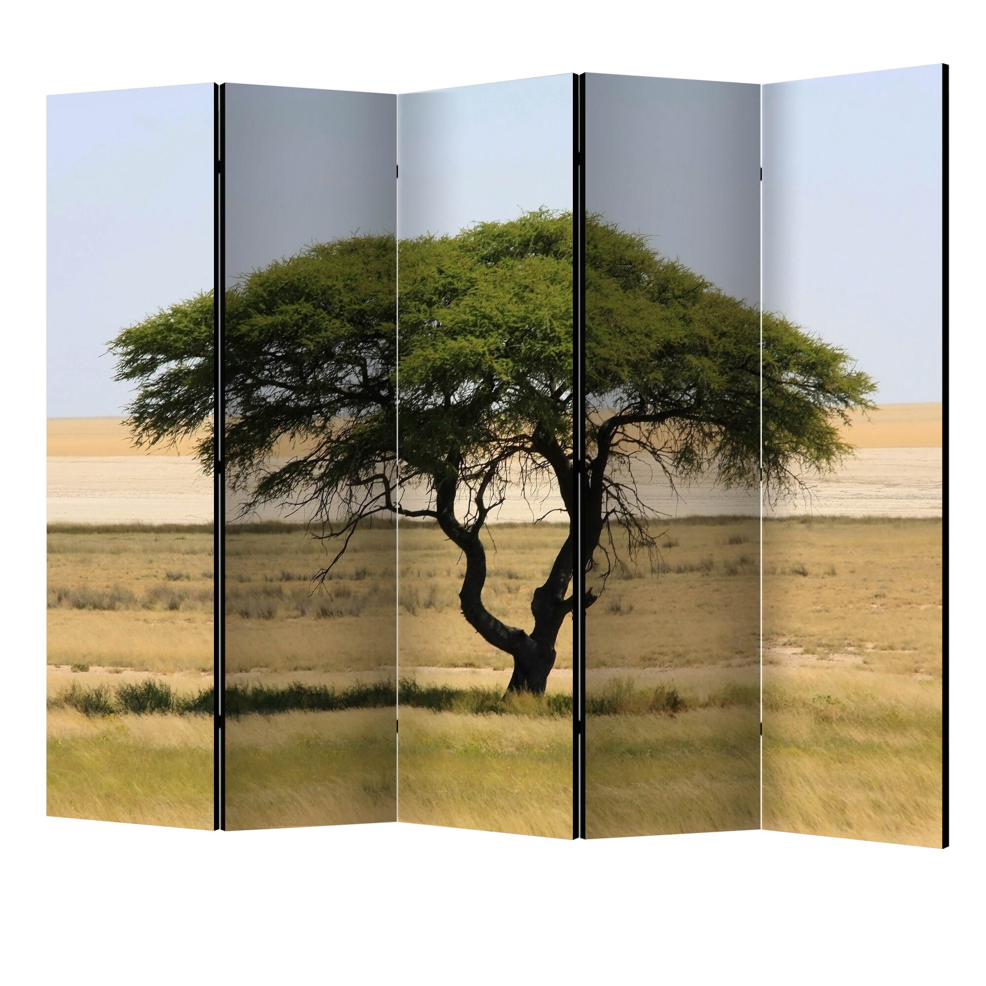 Paravan din 5 parti - Parcul national etosha namibia II - 225 x 172 cm
