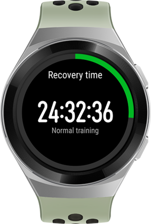 Smartwatch Huawei Watch GT 2e, 46mm, Graphite Black - eMAG.ro