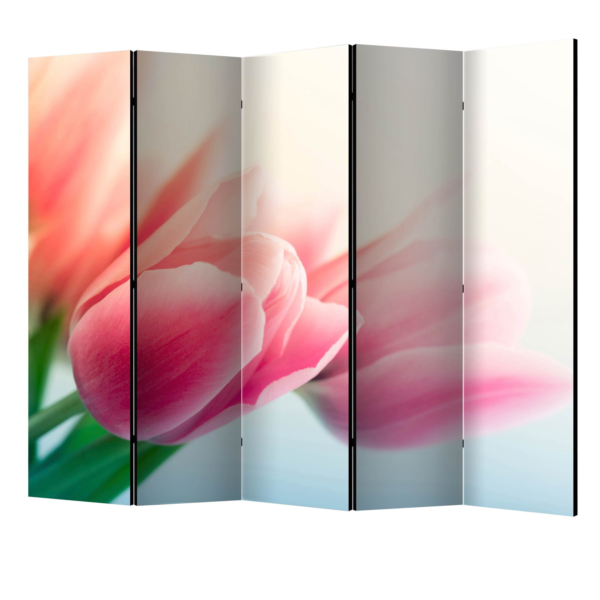 Paravan din 5 parti - Primavara si lalelele II - 225 x 172 cm