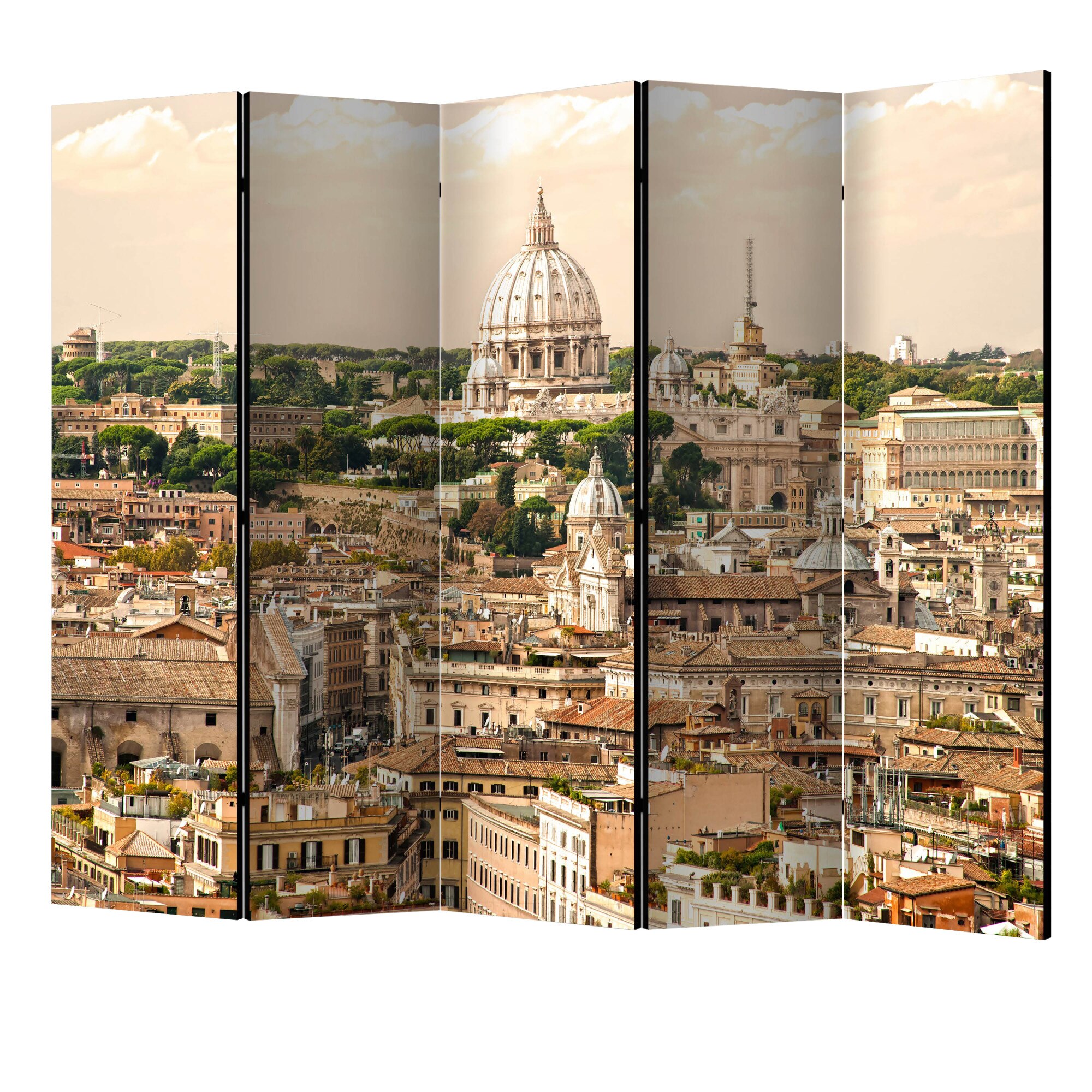 Paravan din 5 parti - Roma panorama II - 225 x 172 cm