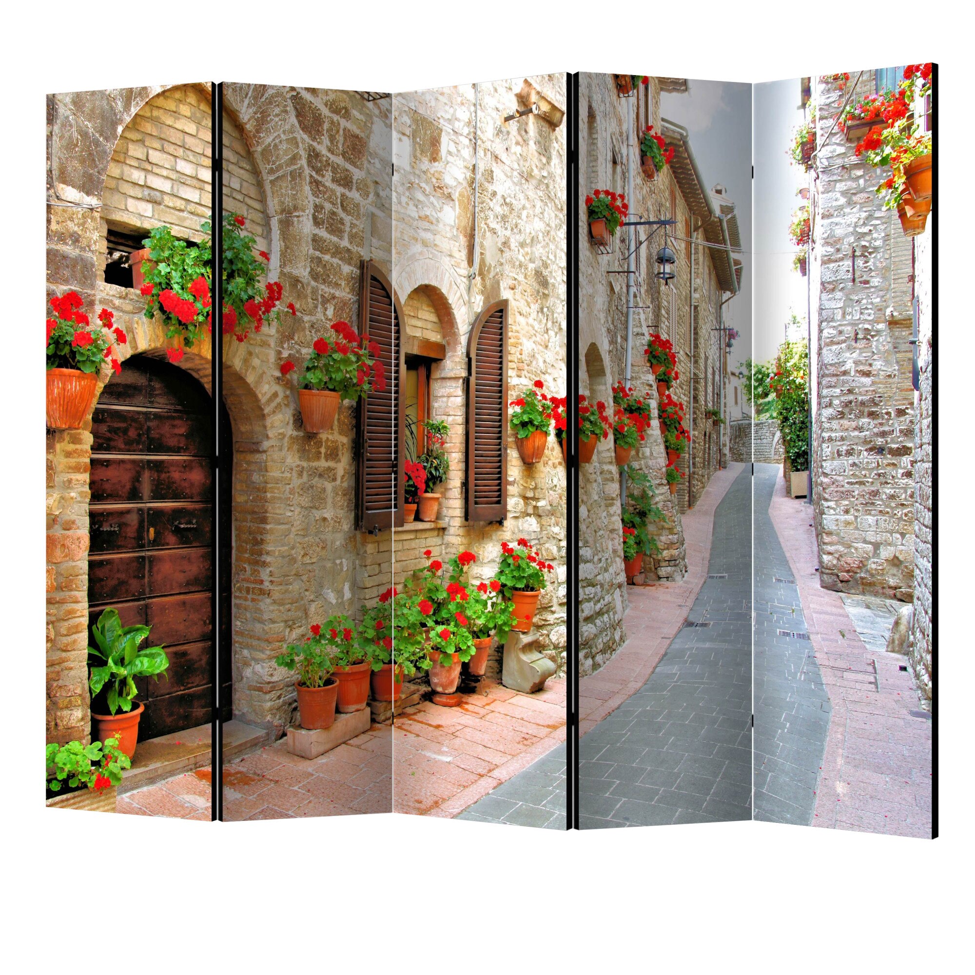 Paravan din 5 parti - Provincia italiana II - 225 x 172 cm