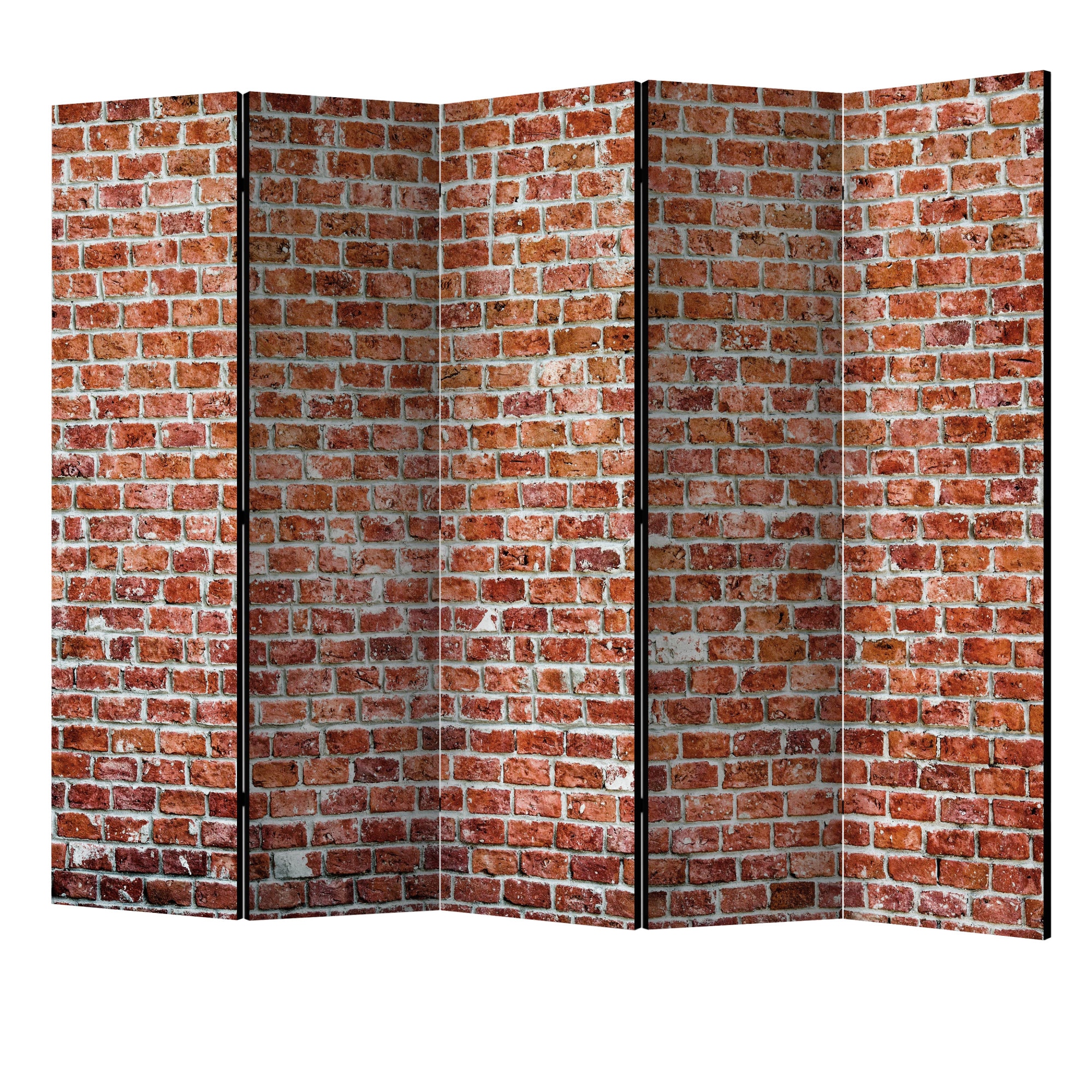 Paravan din 5 parti - Roca rosie II - 225 x 172 cm