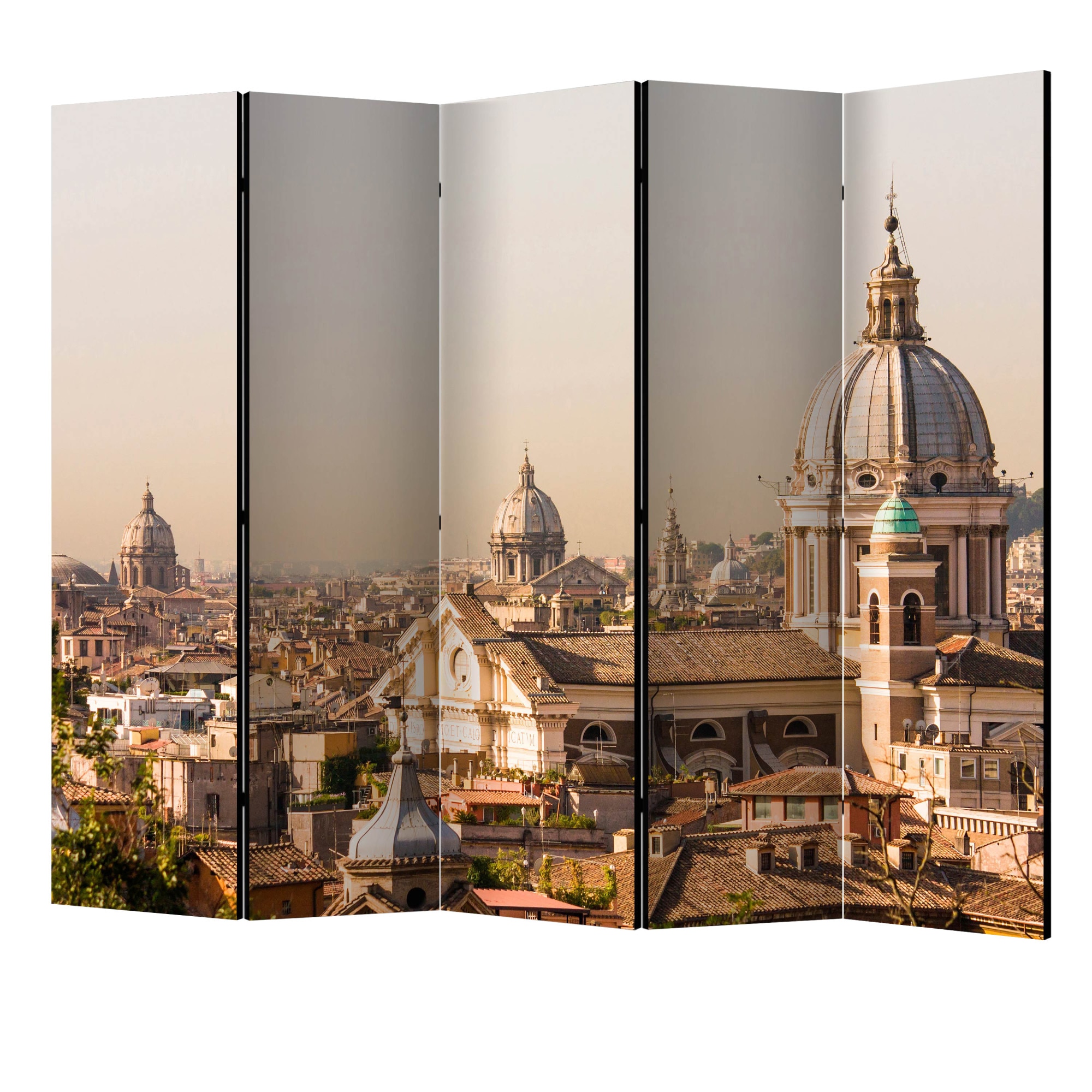 Paravan din 5 parti - Roma privirea pasarii II - 225 x 172 cm