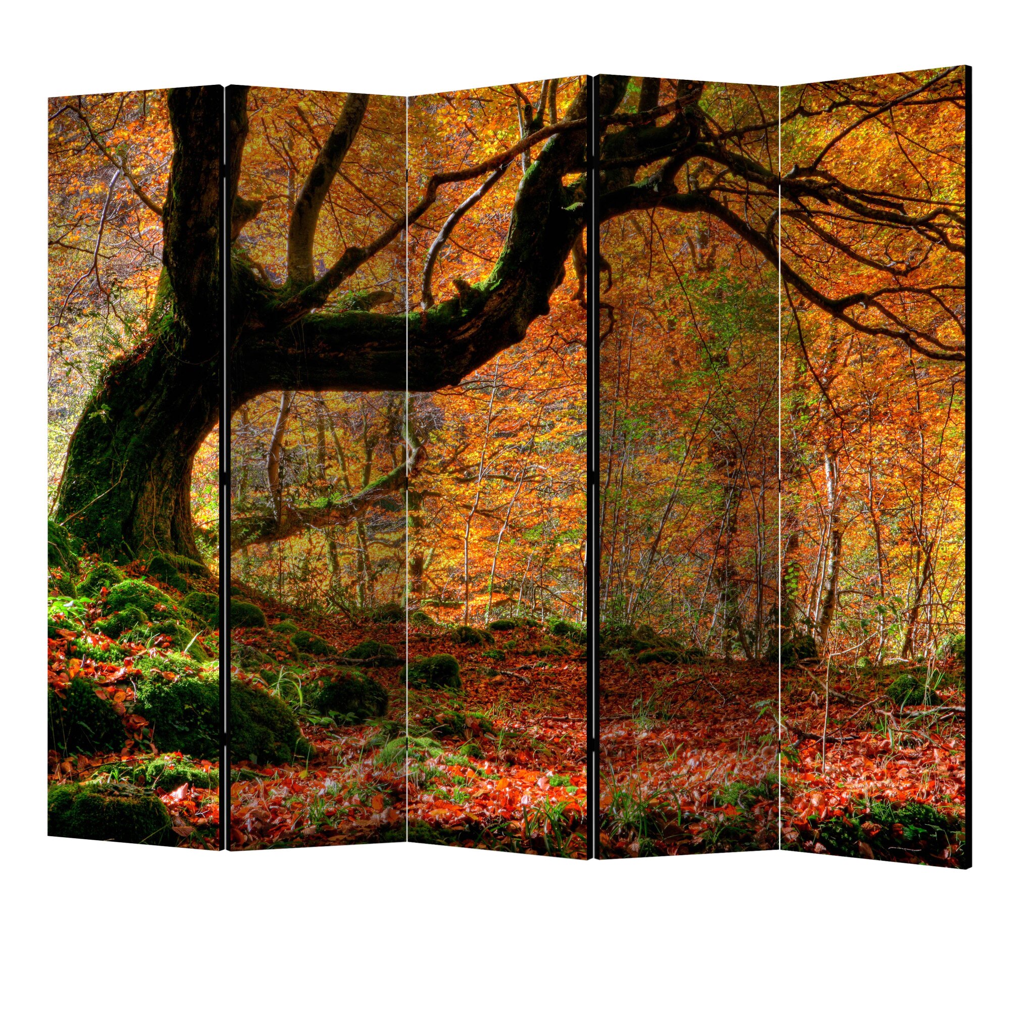 Paravan din 5 parti - Toamna padurea si frunzele II - 225 x 172 cm