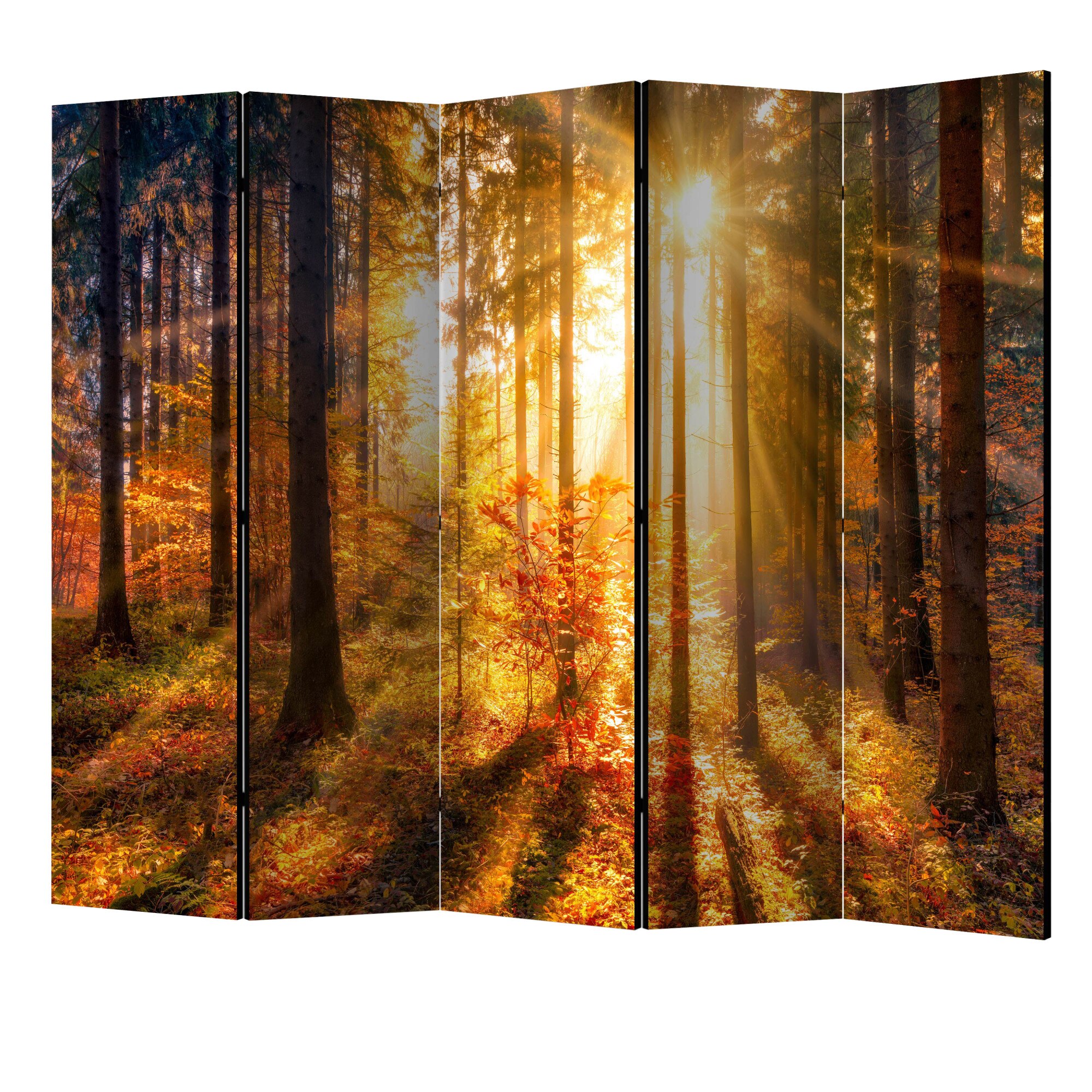Paravan din 5 parti - Trezirea toamnei II - 225 x 172 cm