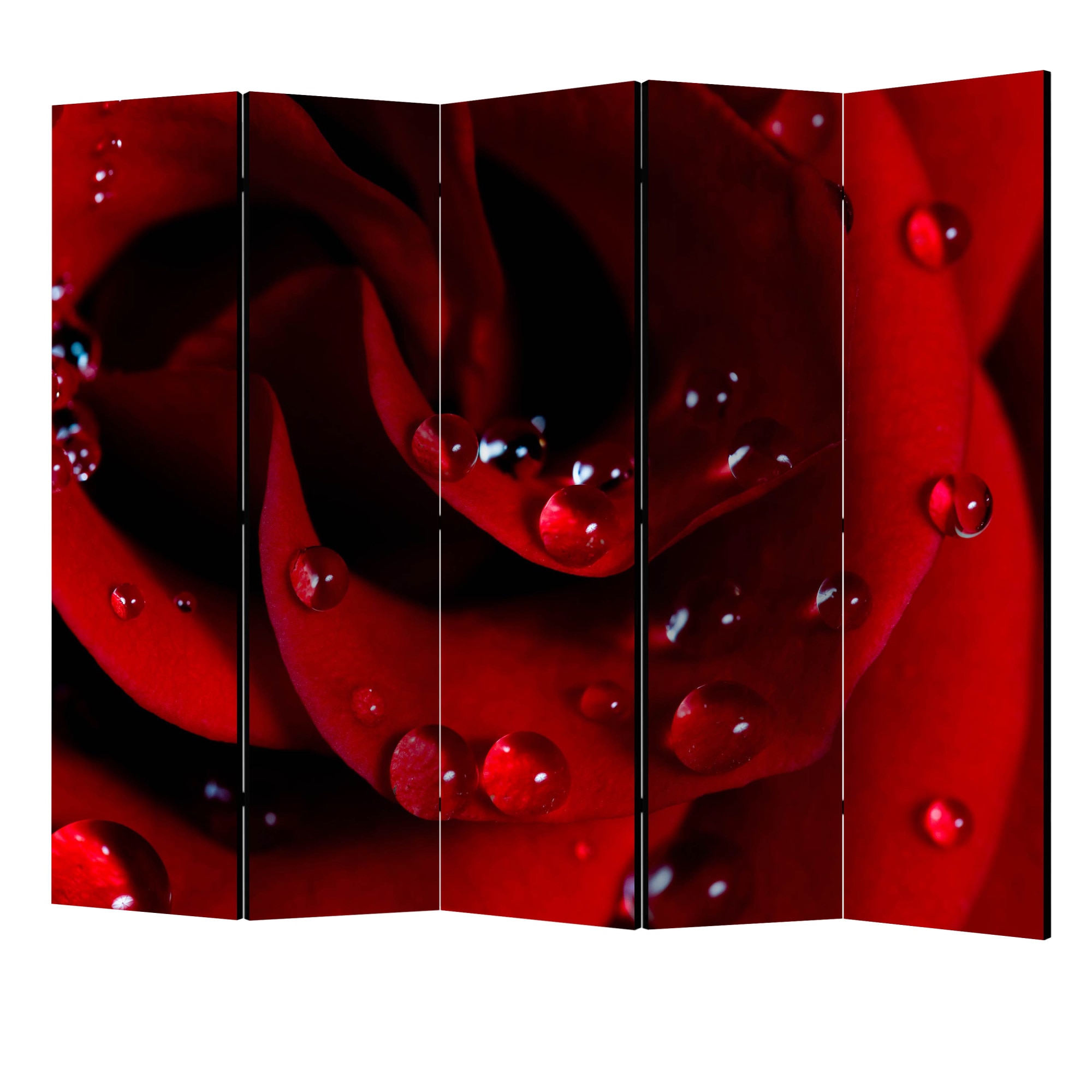 Paravan din 5 parti - Trandafir rosu cu picaturi de apa II - 225 x 172 cm