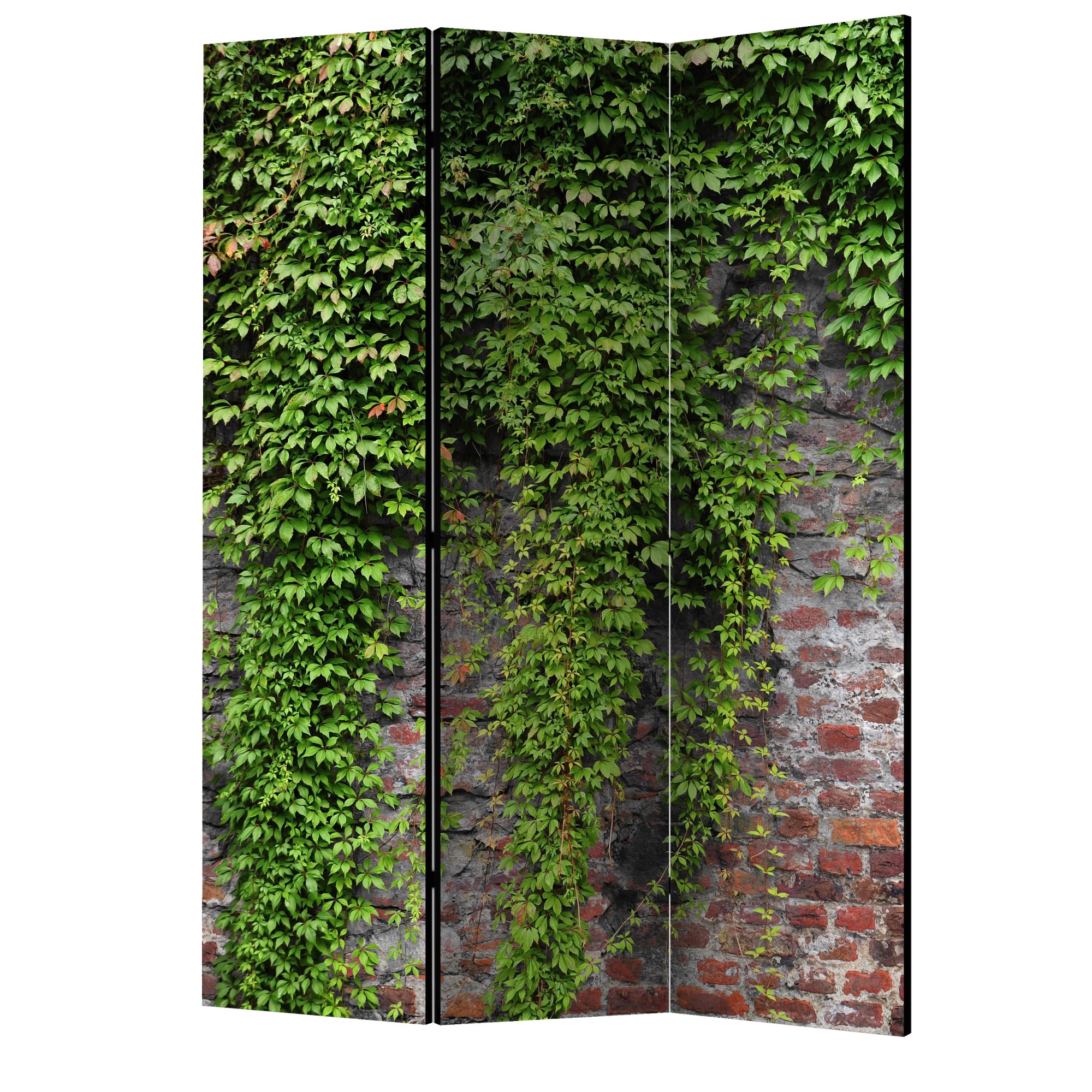 Paravan din 3 parti - Caramida si iedera - 135 x 172 cm
