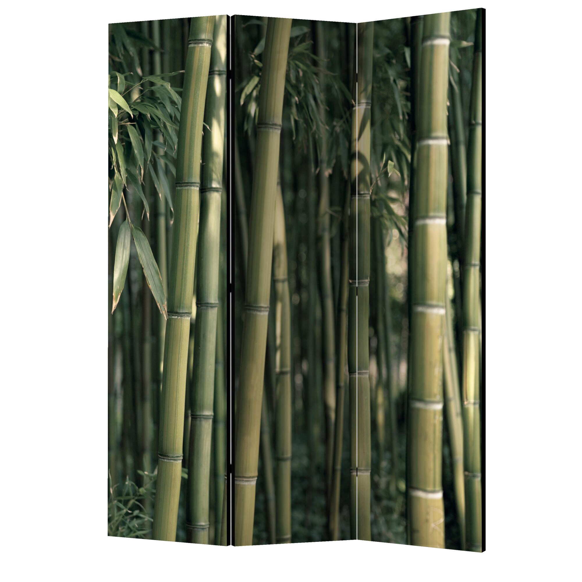 Paravan din 3 parti - Bamboo exotic - 135 x 172 cm